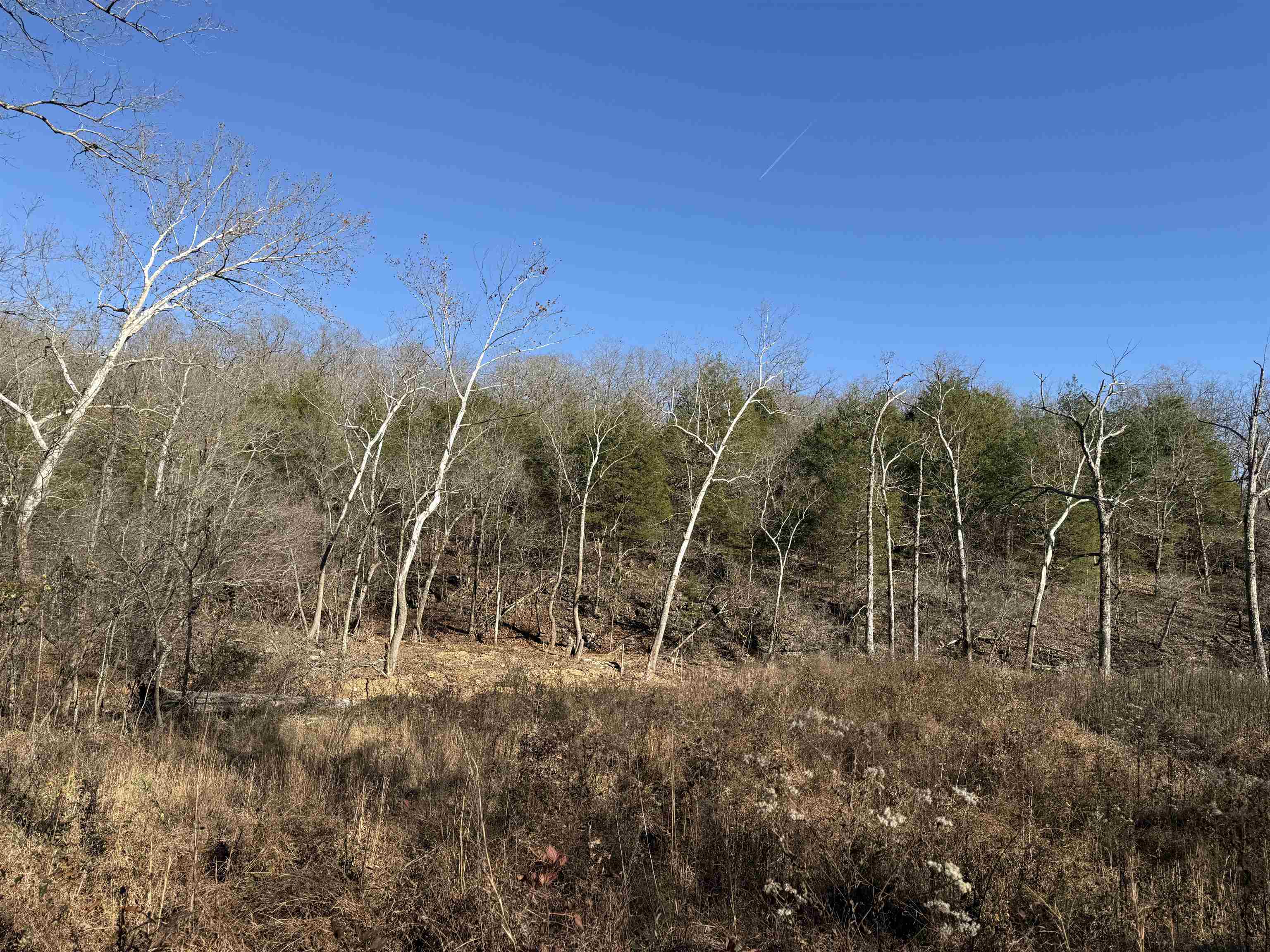 Photo 3 - Vacant Land for sale – 00  Hwy 63   Ravenden, AR