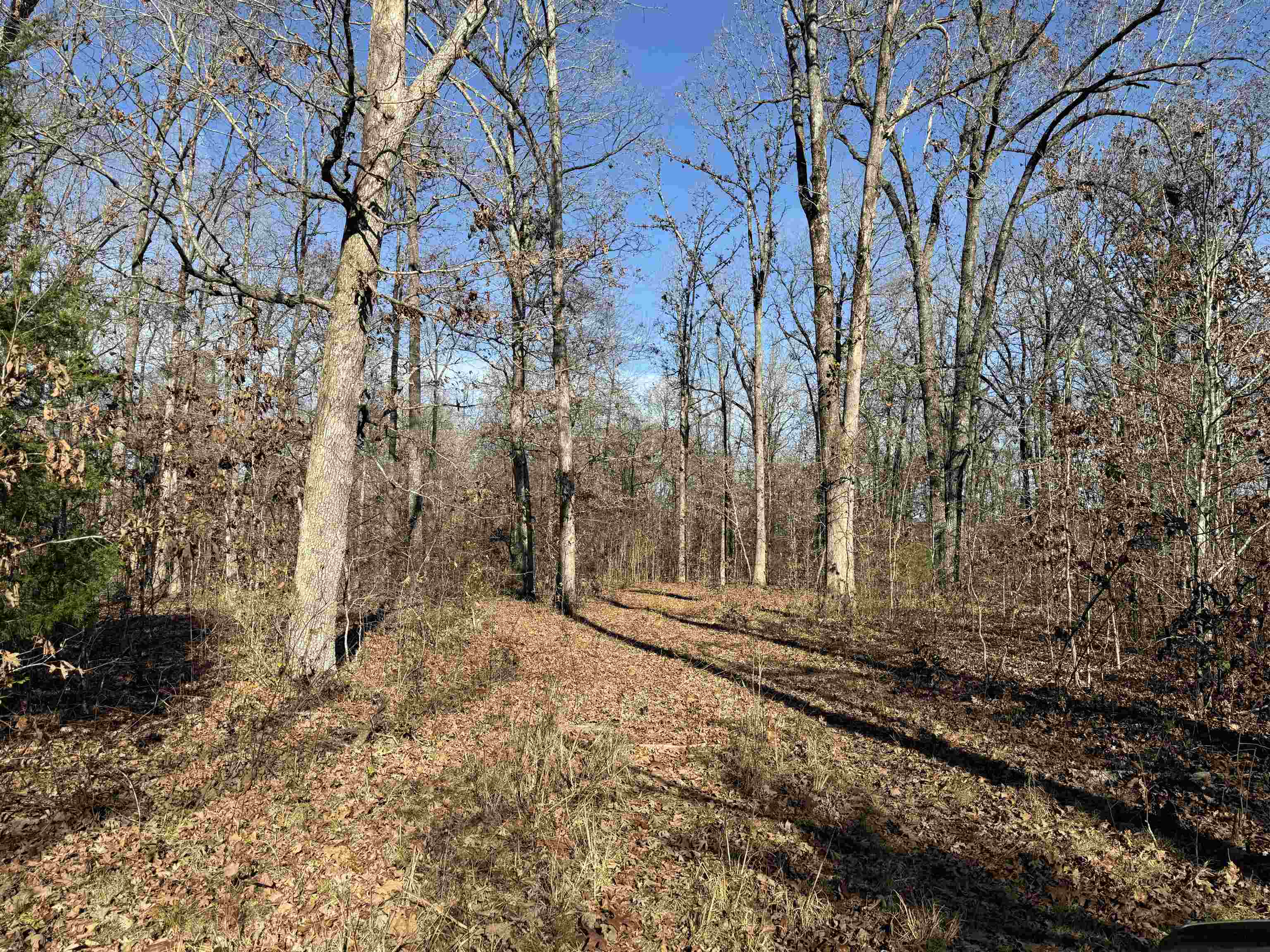 Photo 21 - Vacant Land for sale – 00  Hwy 63   Ravenden, AR