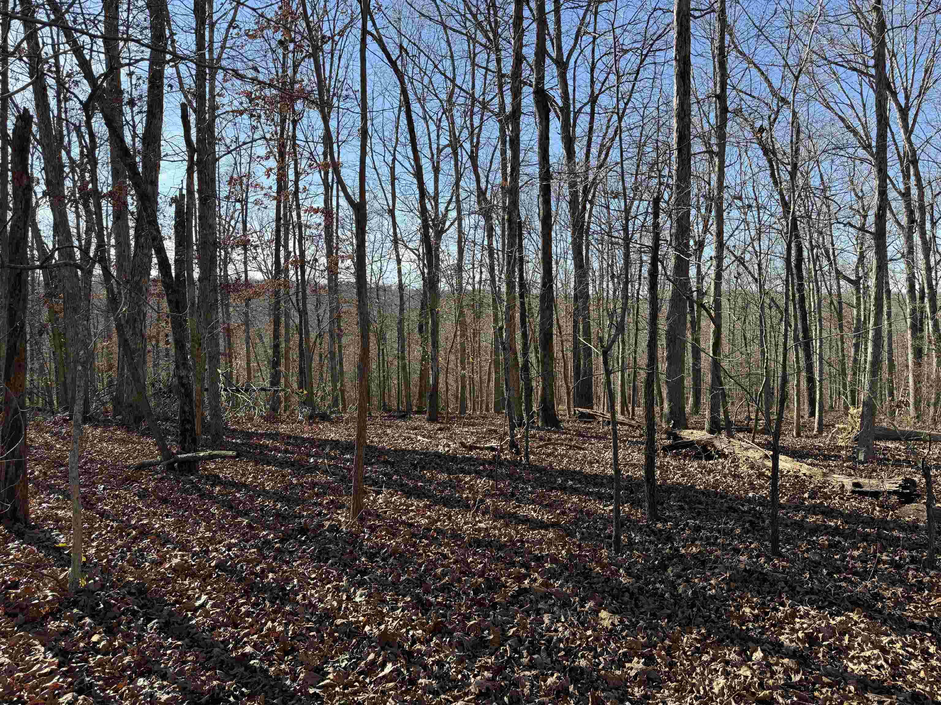 Photo 23 - Vacant Land for sale – 00  Hwy 63   Ravenden, AR