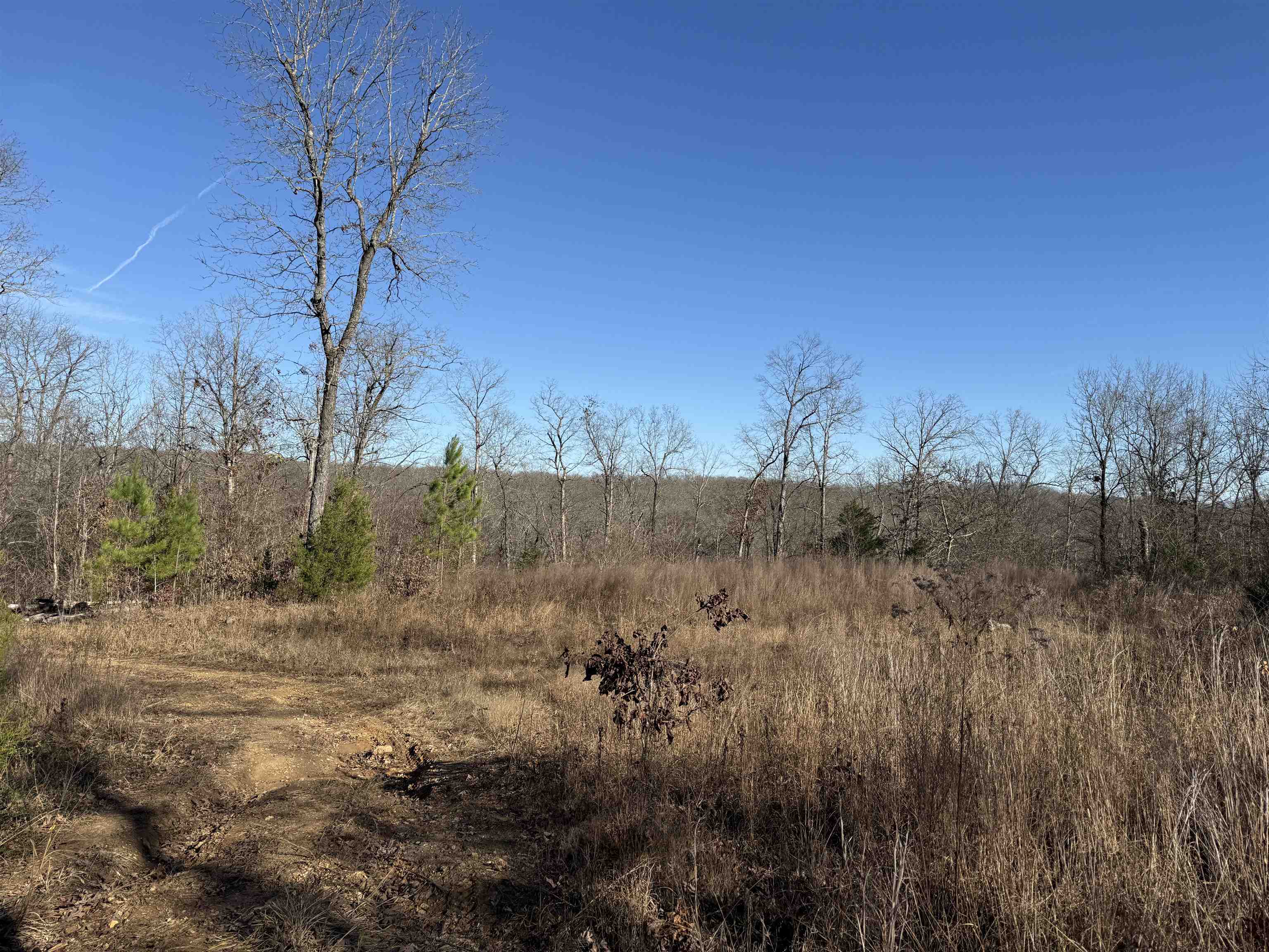Photo 5 - Vacant Land for sale – 00  Hwy 63   Ravenden, AR