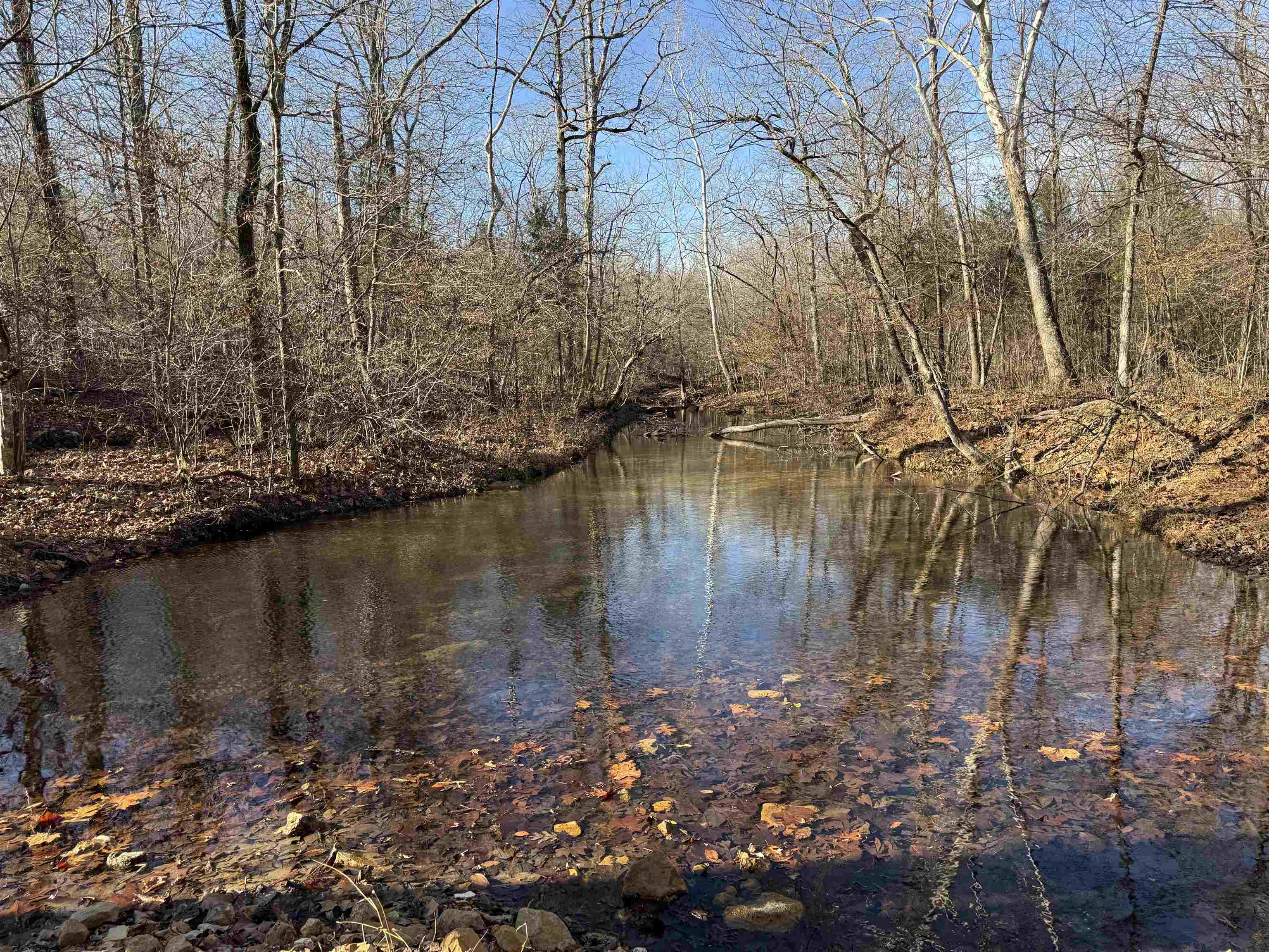 Photo 6 - Vacant Land for sale – 00  Hwy 63   Ravenden, AR