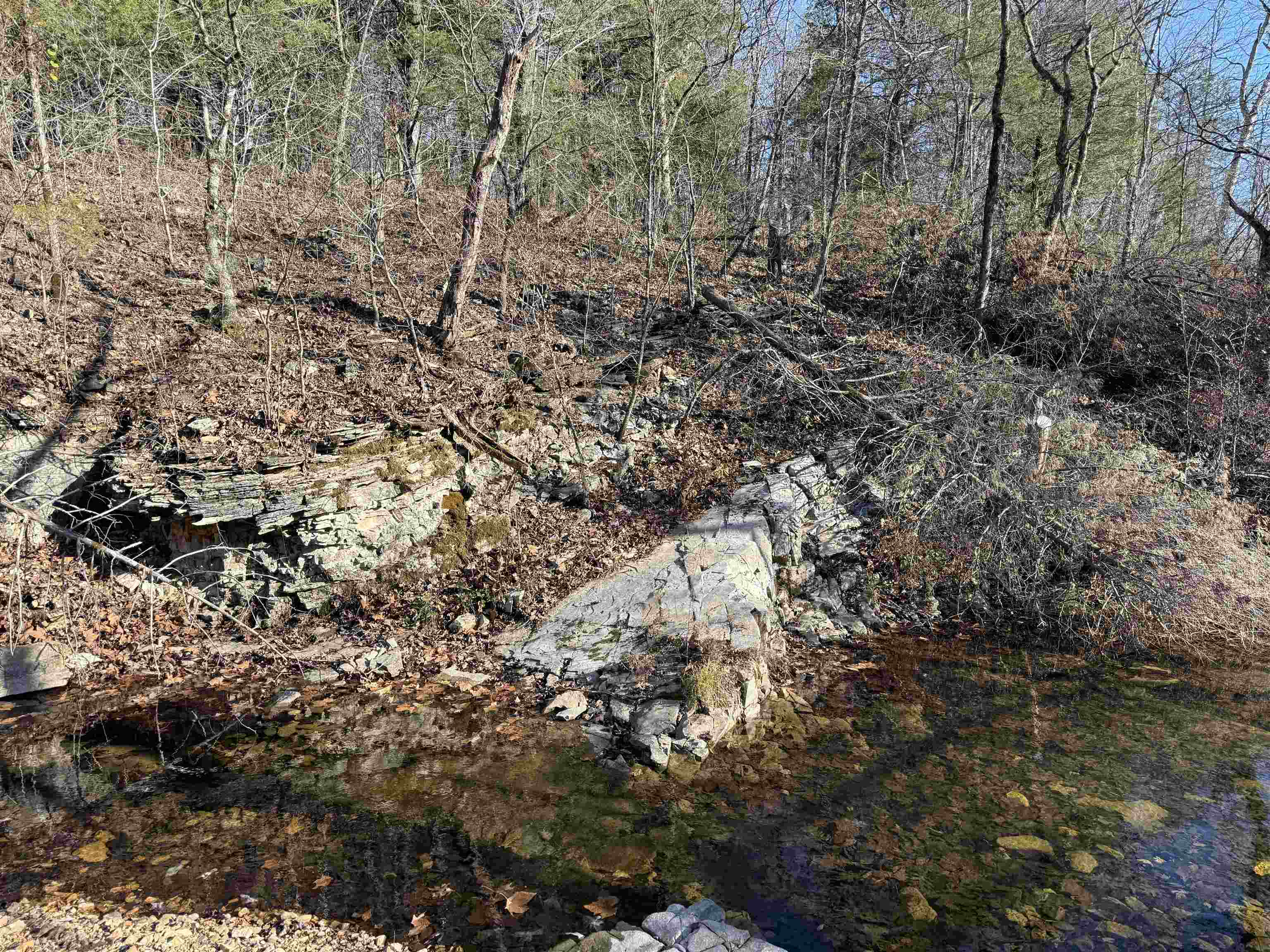 Photo 7 - Vacant Land for sale – 00  Hwy 63   Ravenden, AR