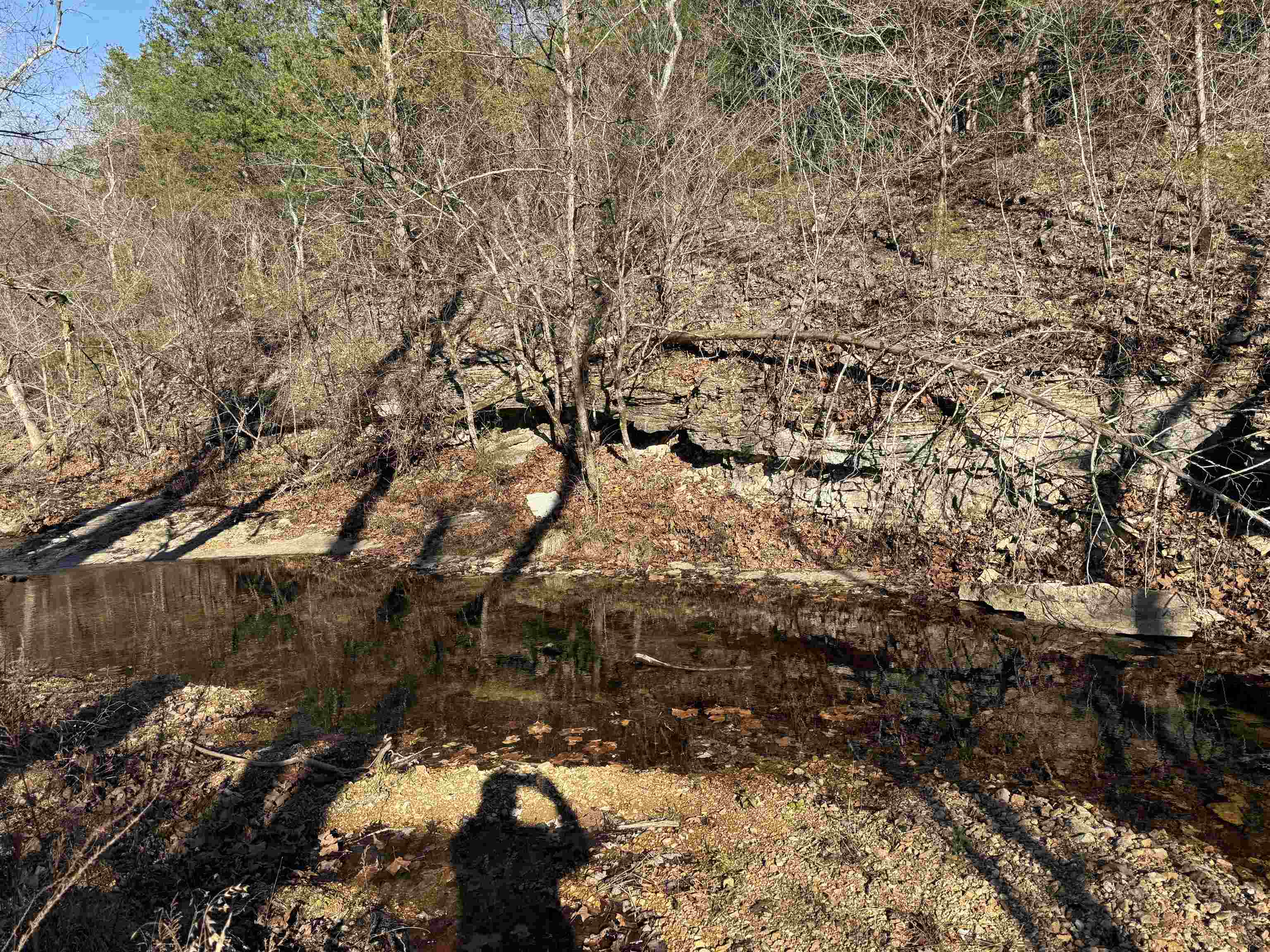 Photo 8 - Vacant Land for sale – 00  Hwy 63   Ravenden, AR