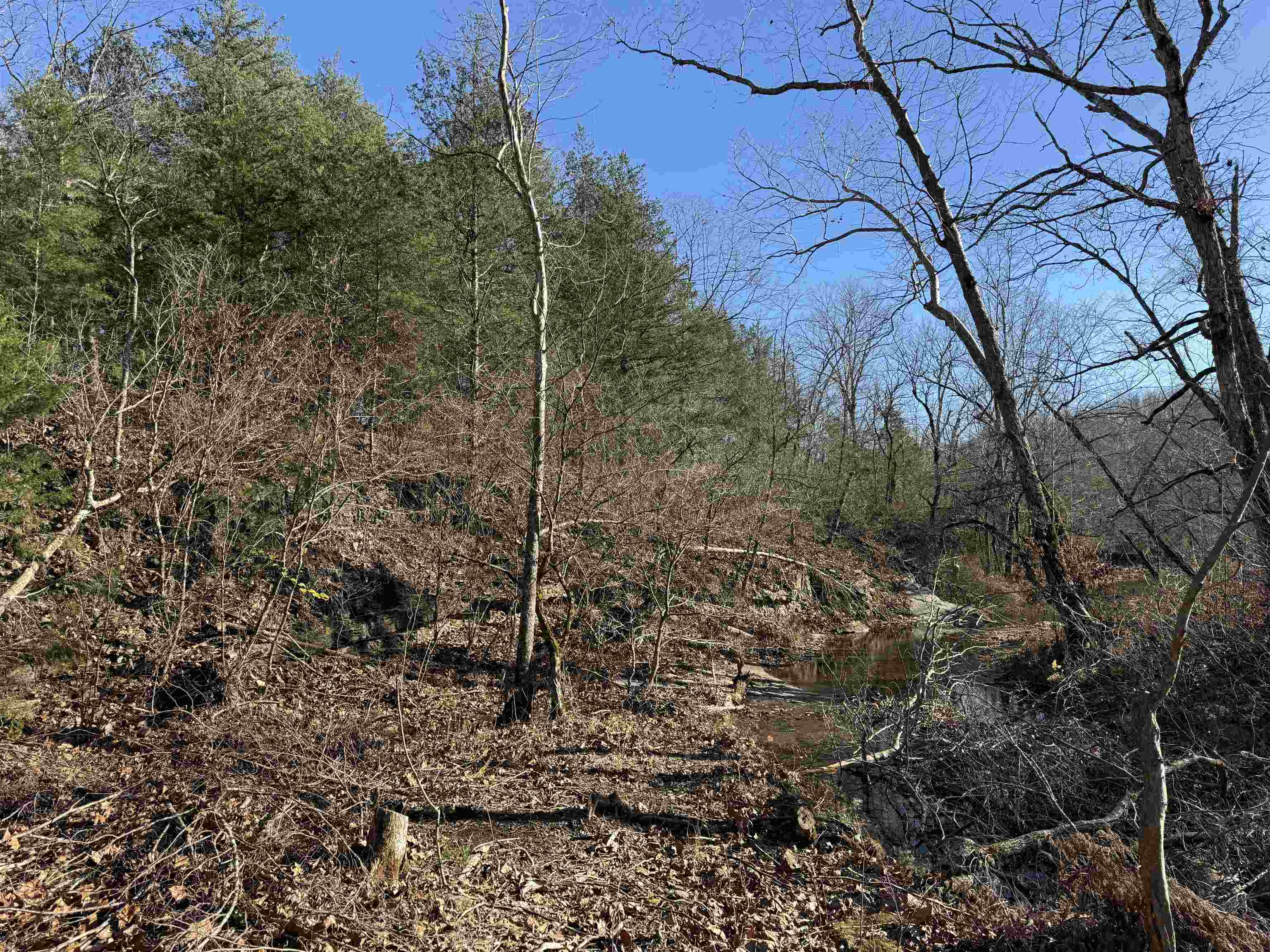 Photo 10 - Vacant Land for sale – 00  Hwy 63   Ravenden, AR