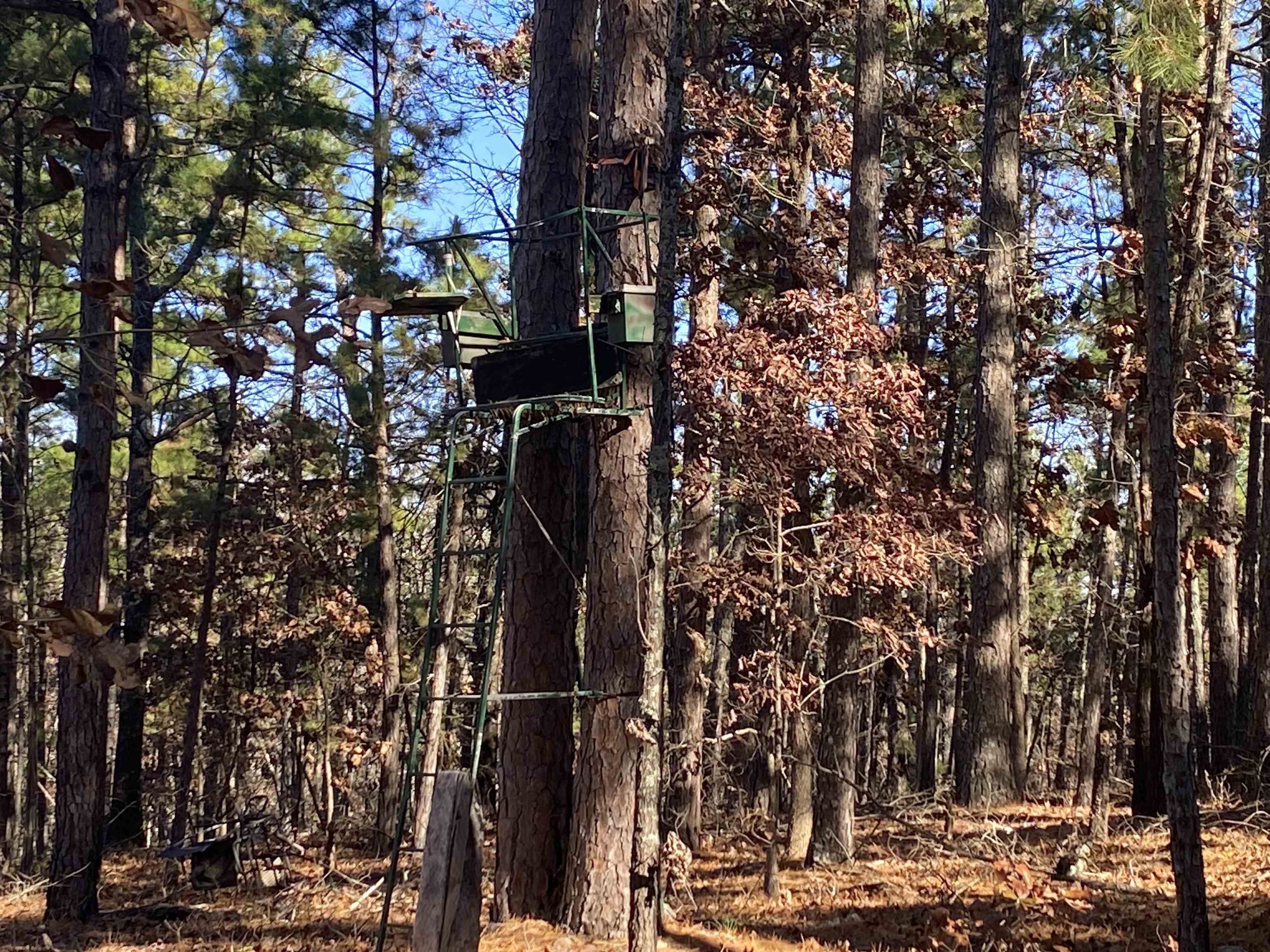 Photo 4 - Vacant Land for sale – 924  Quail Way   Dolph, AR