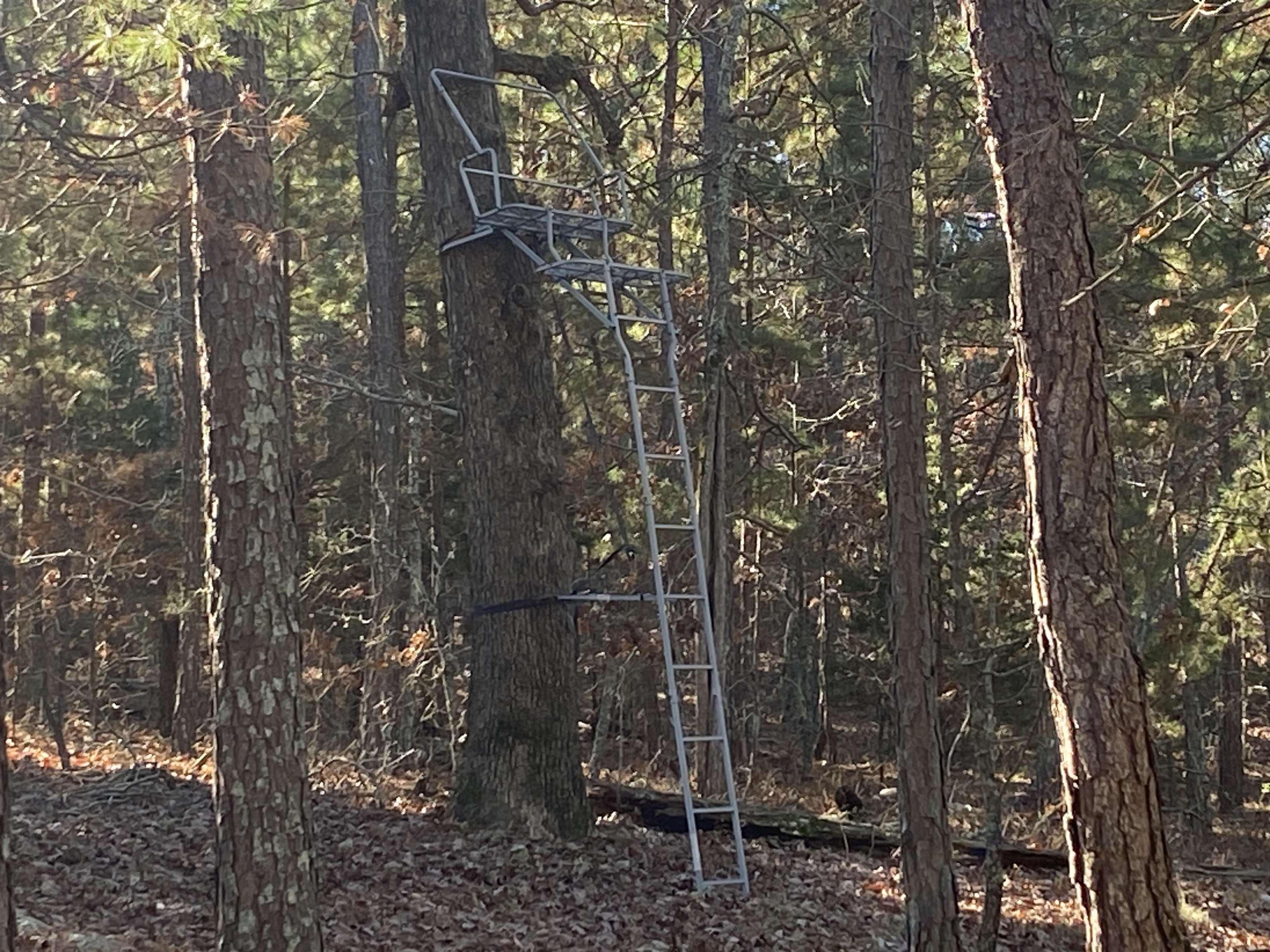 Photo 8 - Vacant Land for sale – 924  Quail Way   Dolph, AR