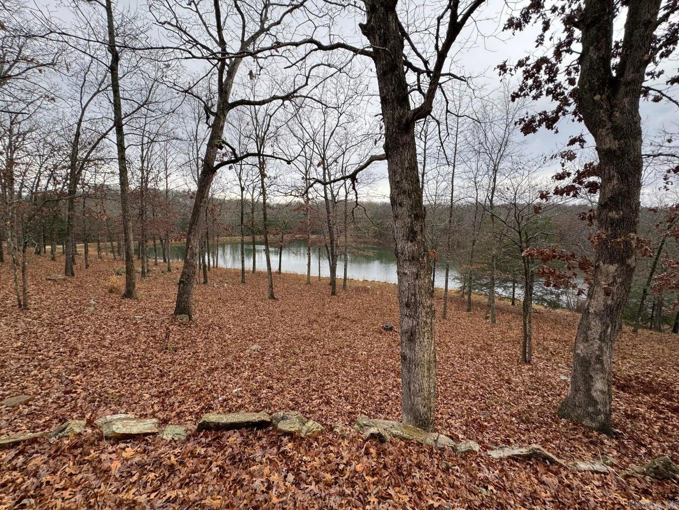 Photo 49 - Residential for sale – 910  Nelsonville   Smithville, AR