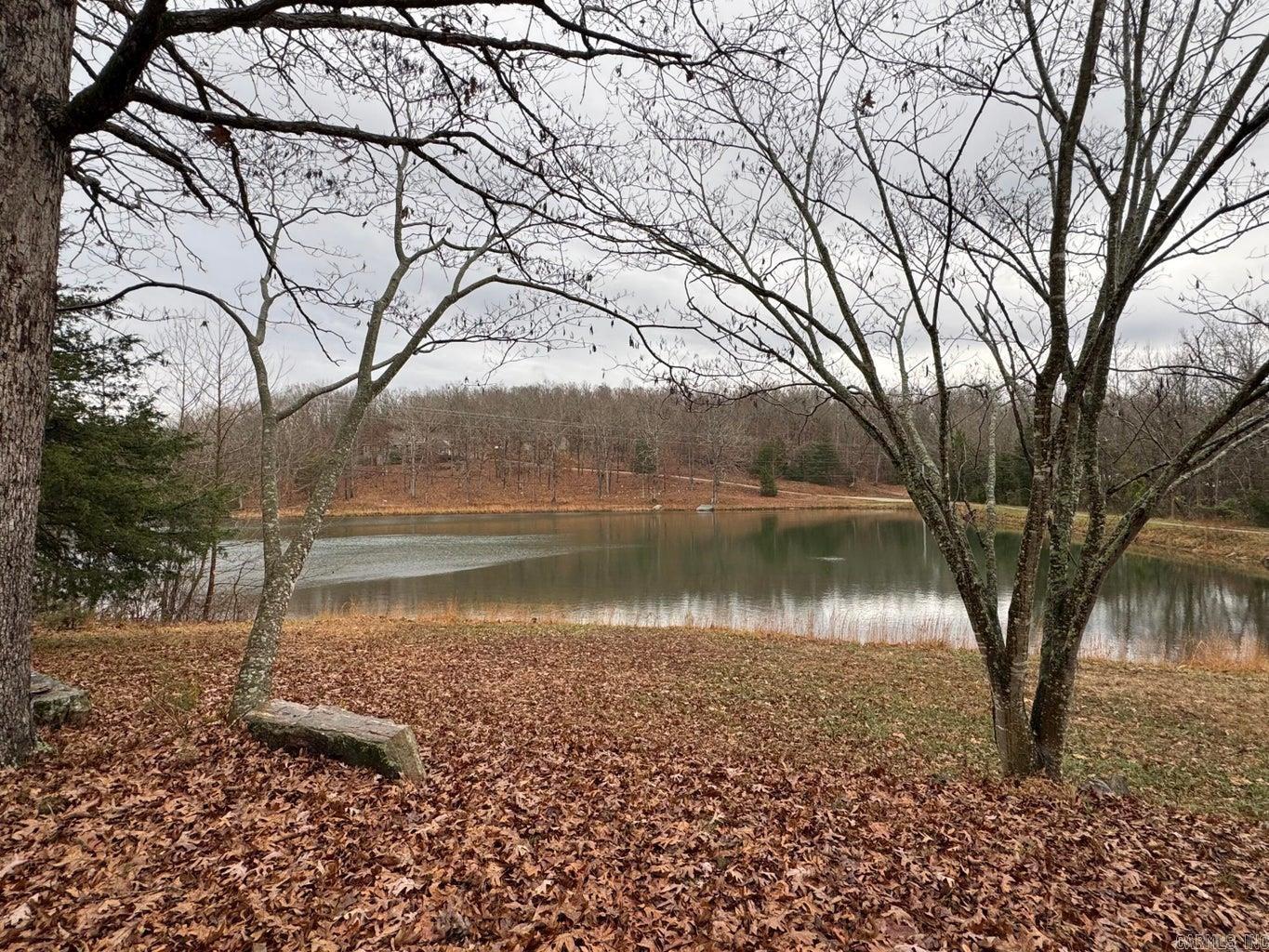 Photo 50 - Residential for sale – 910  Nelsonville   Smithville, AR