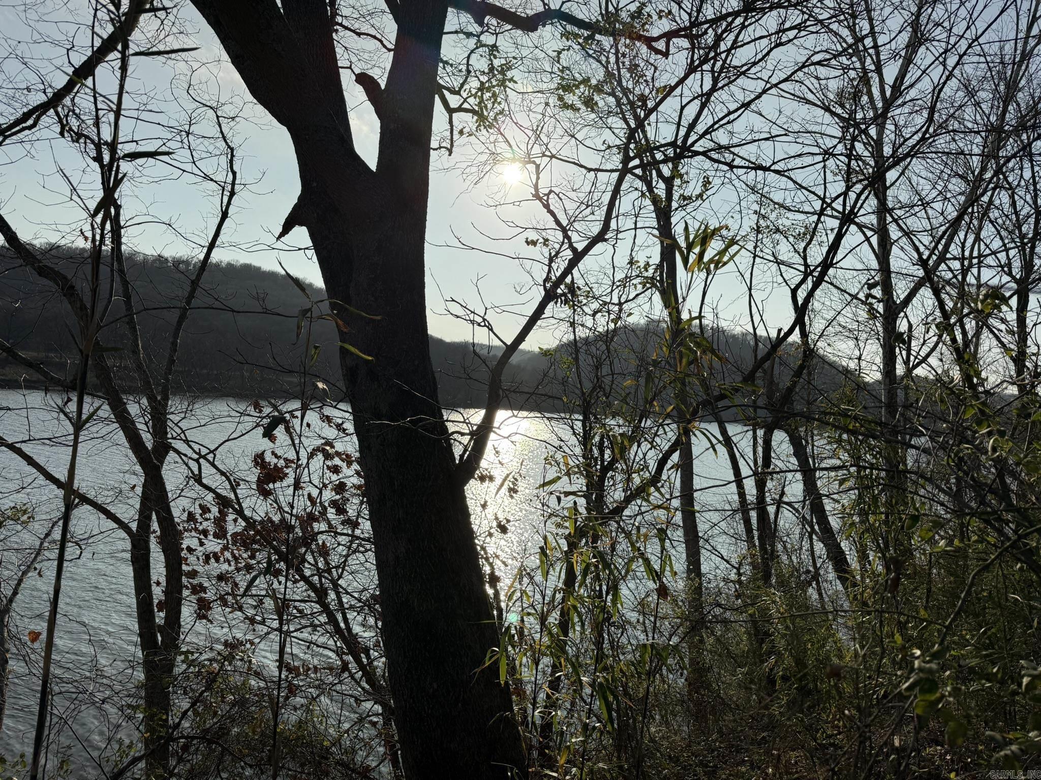 Photo 2 - Vacant Land for sale – 000  River Ridge Lot 20  Guion, AR