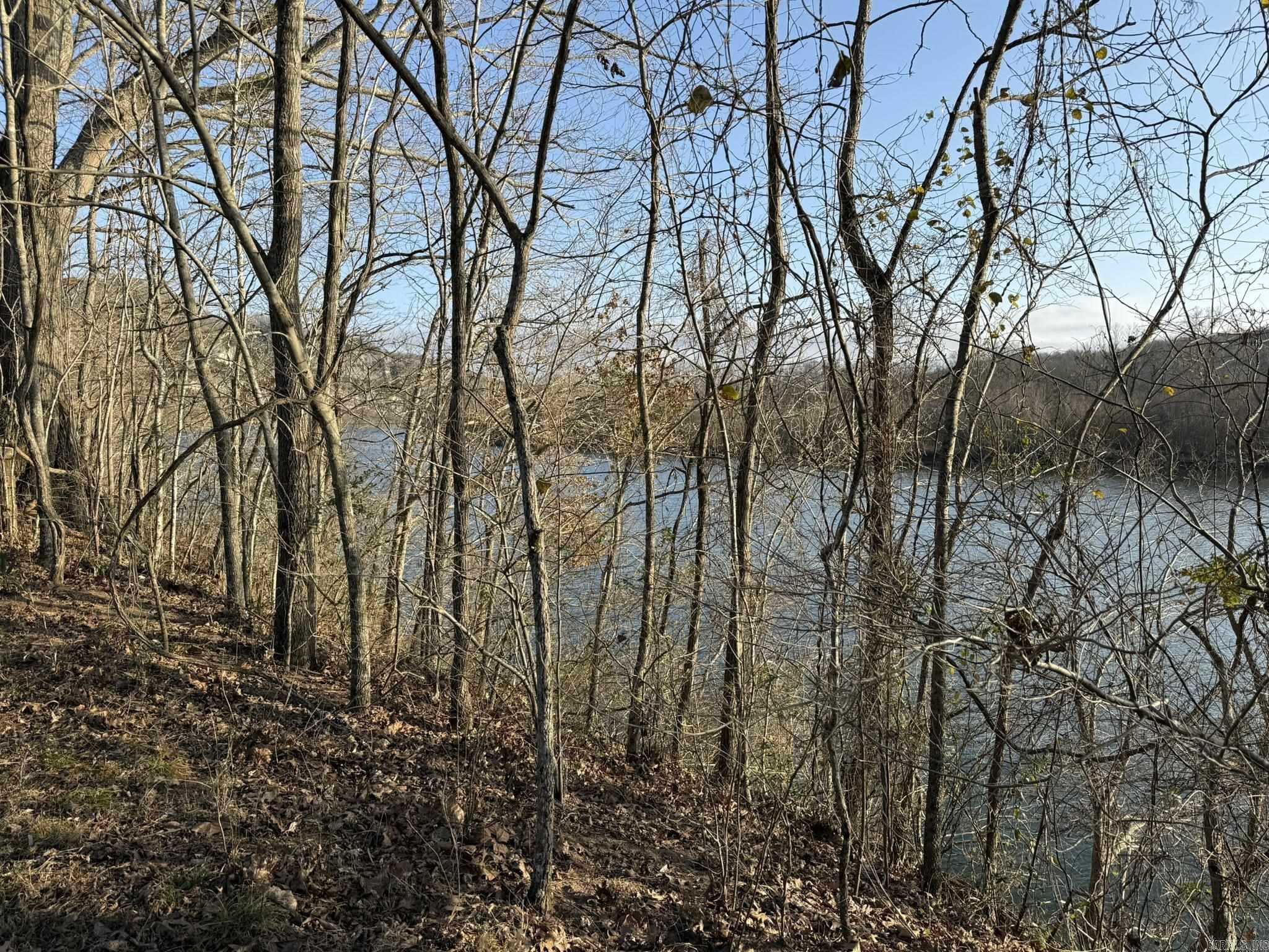 Photo 4 - Vacant Land for sale – 000  River Ridge Lot 20  Guion, AR
