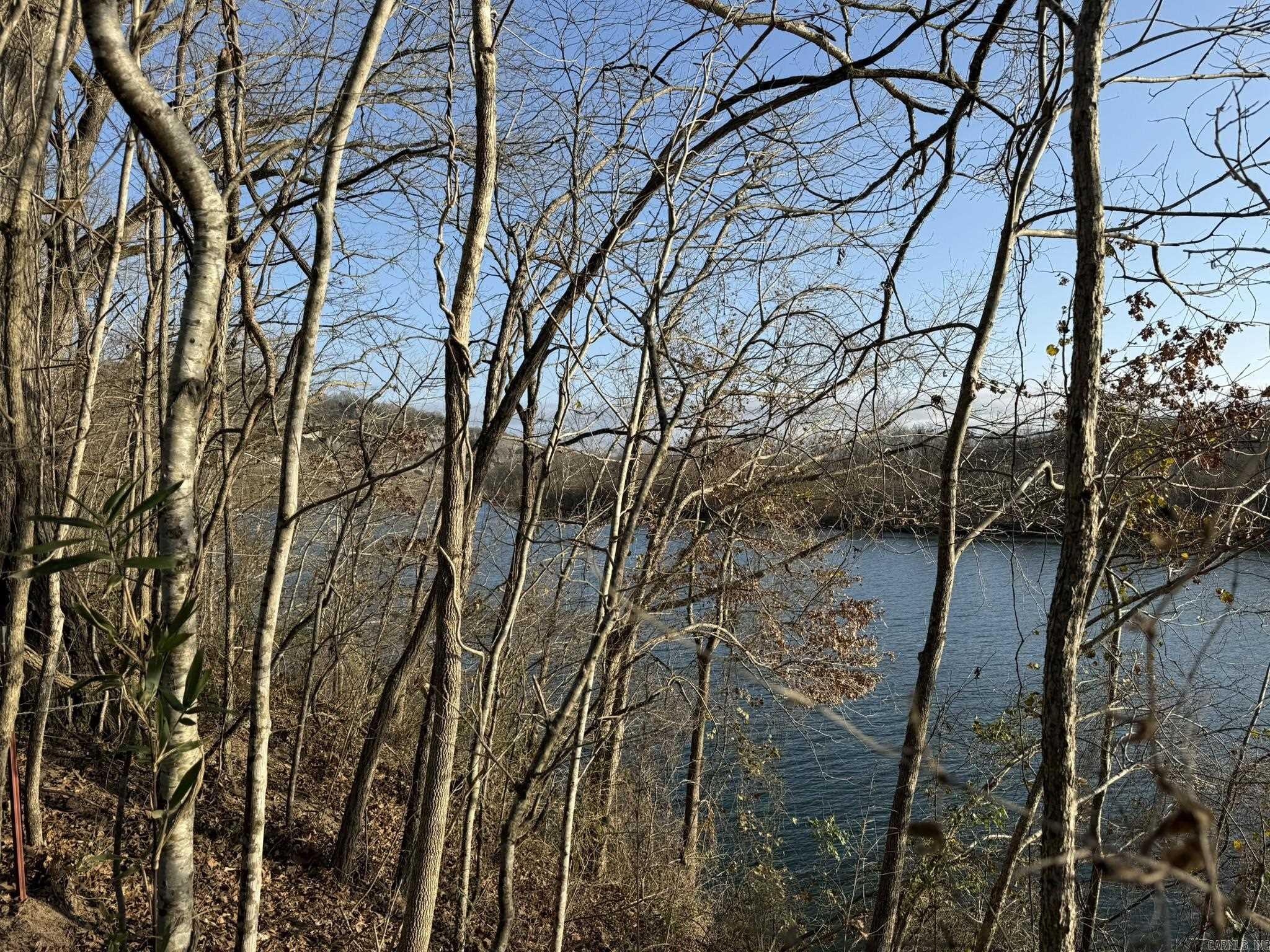 Photo 6 - Vacant Land for sale – 000  River Ridge Lot 20  Guion, AR