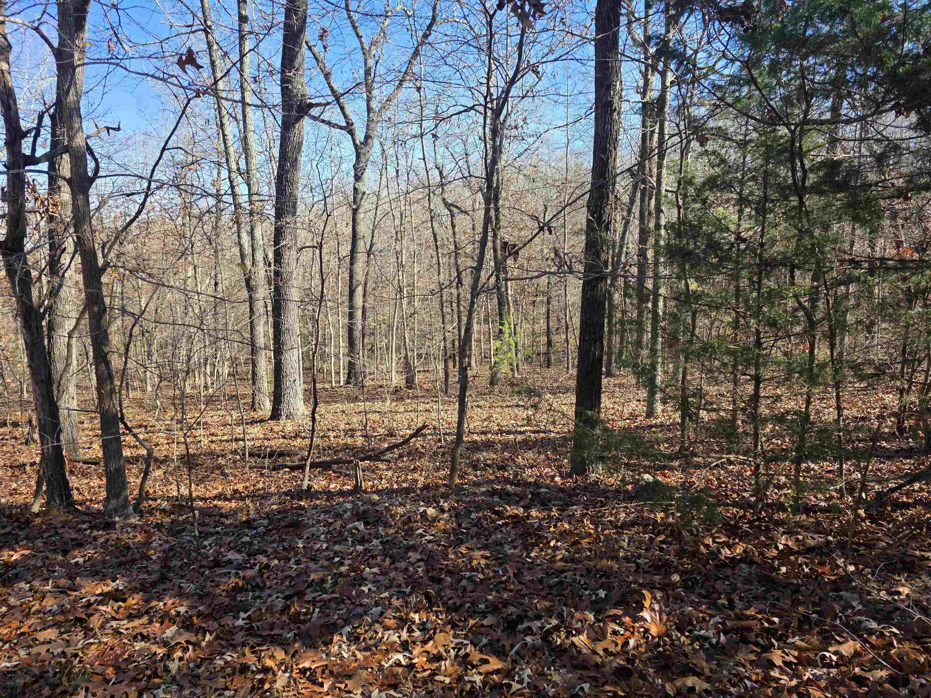 Vacant Land for sale – L11,B5  Wasatch   Cherokee Village, AR