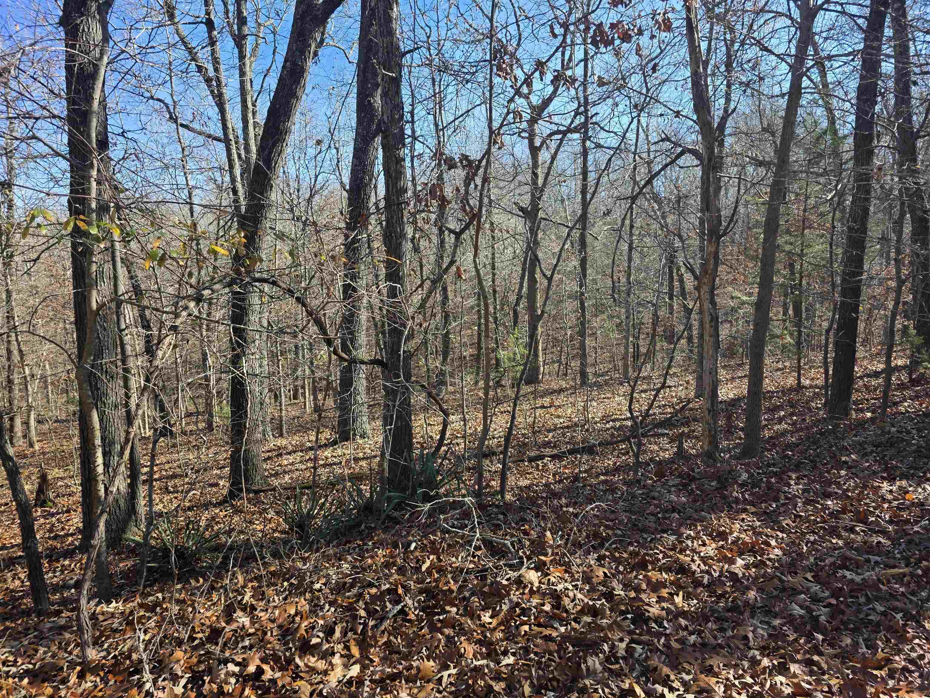 Photo 2 - Vacant Land for sale – L11,B5  Wasatch   Cherokee Village, AR