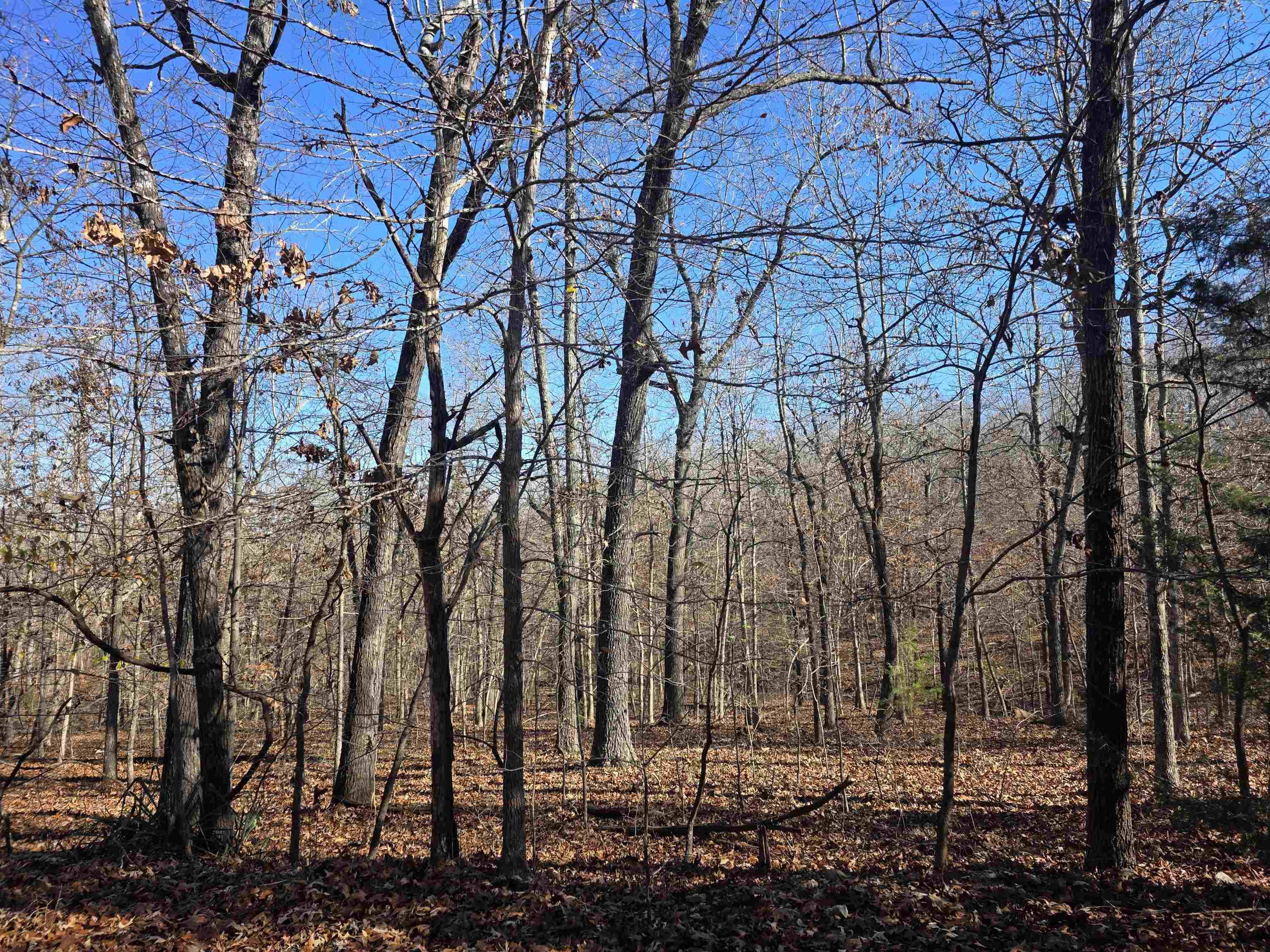 Photo 11 - Vacant Land for sale – L11,B5  Wasatch   Cherokee Village, AR