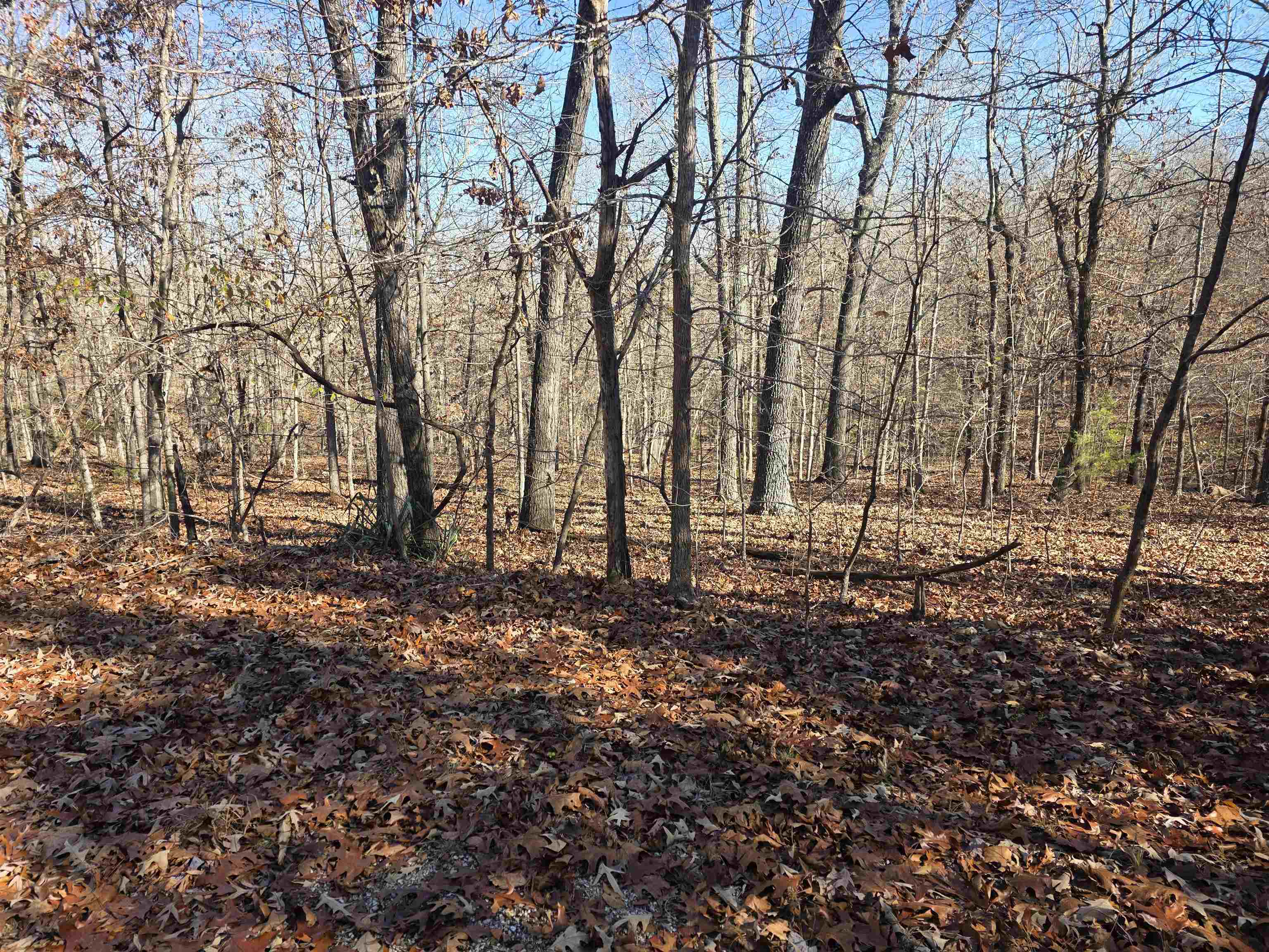 Photo 12 - Vacant Land for sale – L11,B5  Wasatch   Cherokee Village, AR