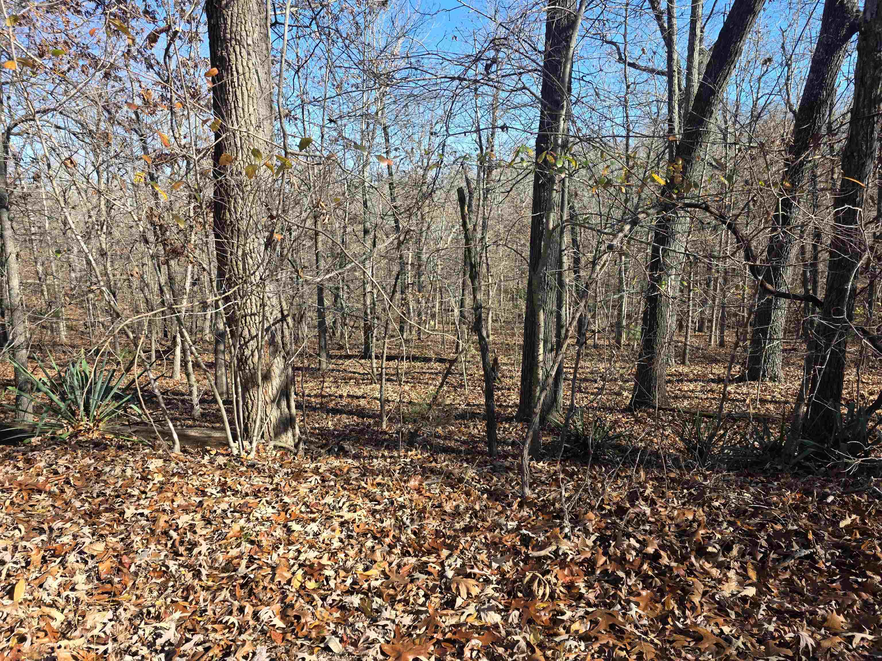 Photo 3 - Vacant Land for sale – L11,B5  Wasatch   Cherokee Village, AR