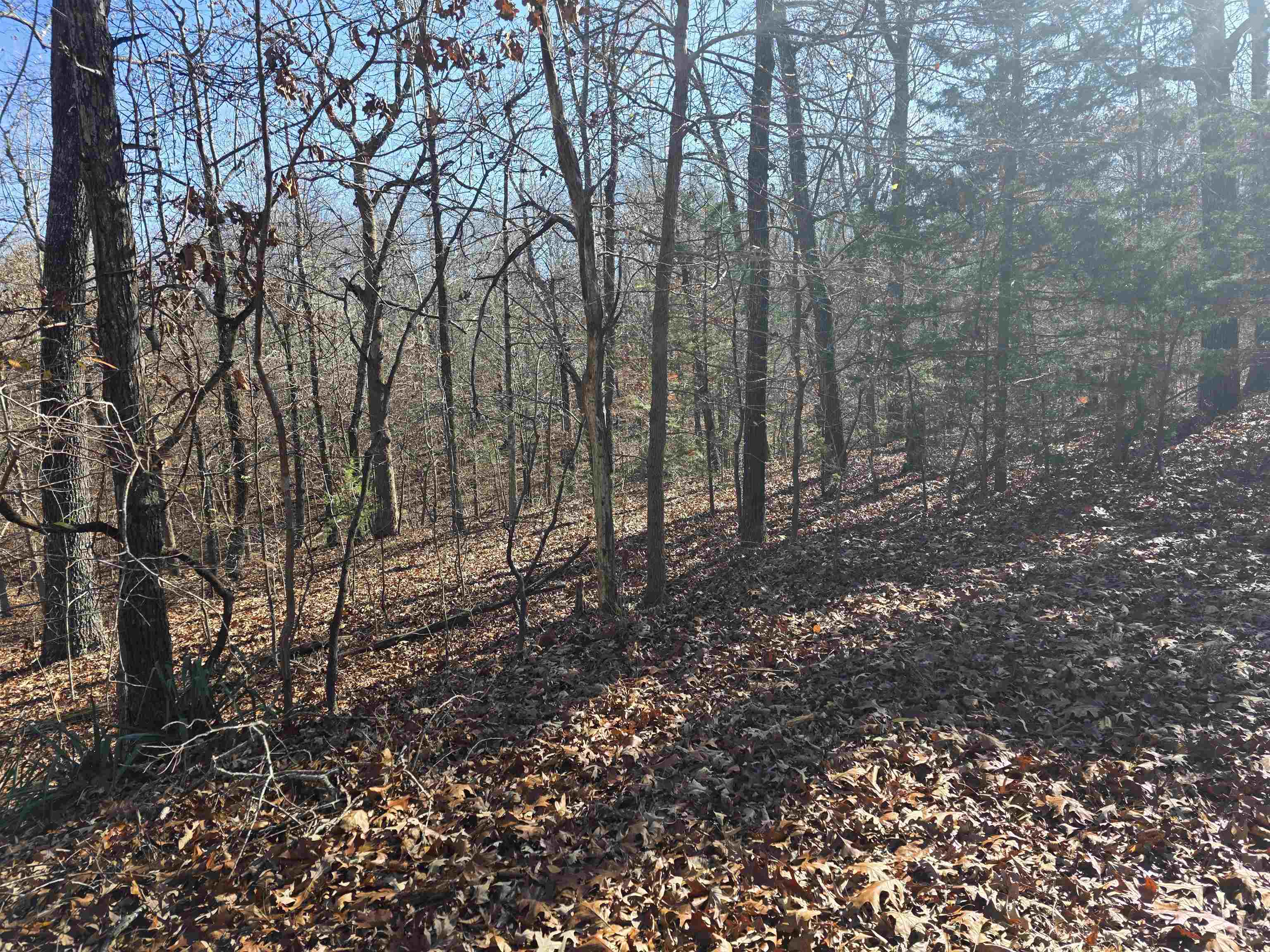 Photo 4 - Vacant Land for sale – L11,B5  Wasatch   Cherokee Village, AR
