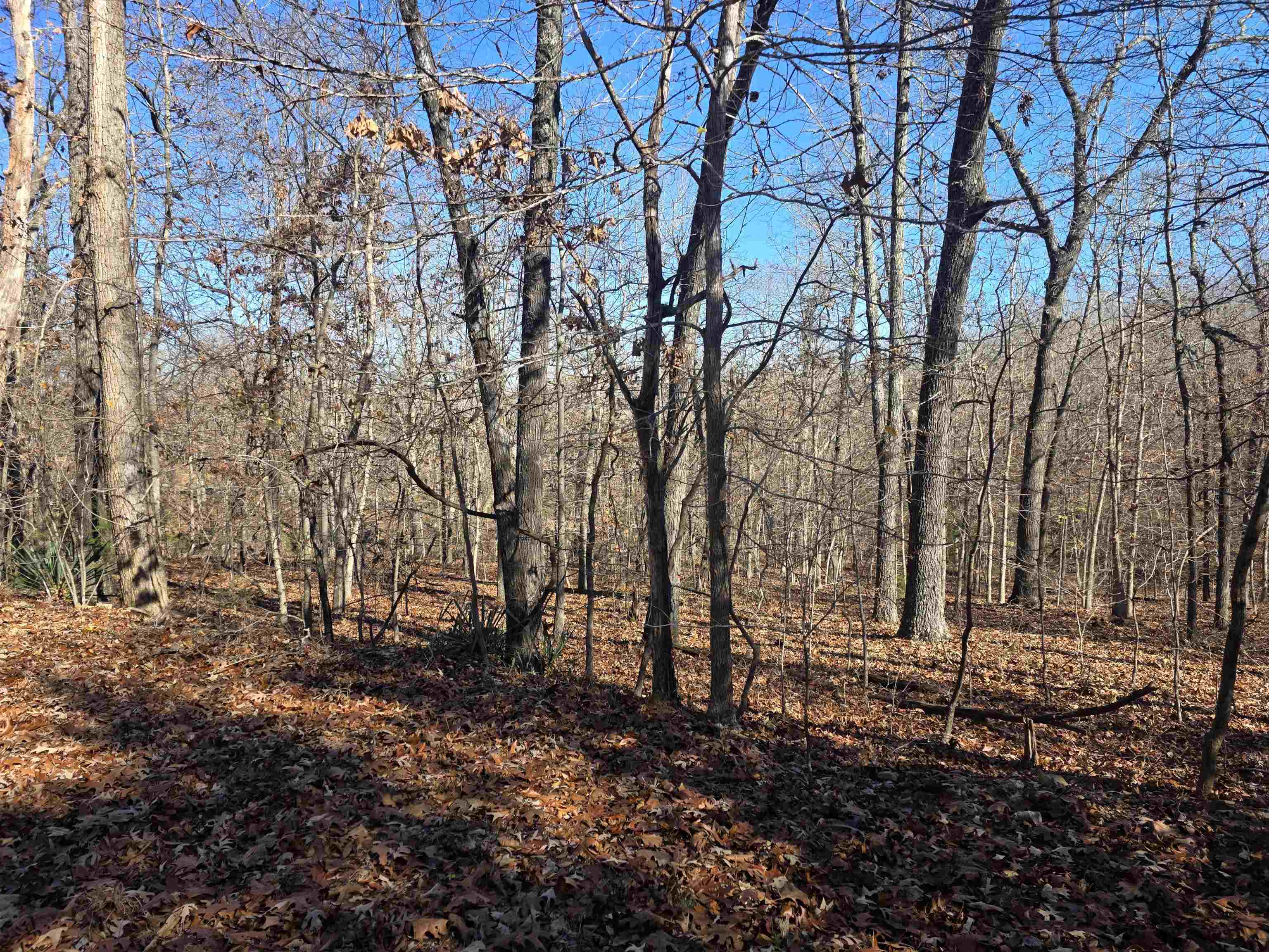 Photo 5 - Vacant Land for sale – L11,B5  Wasatch   Cherokee Village, AR