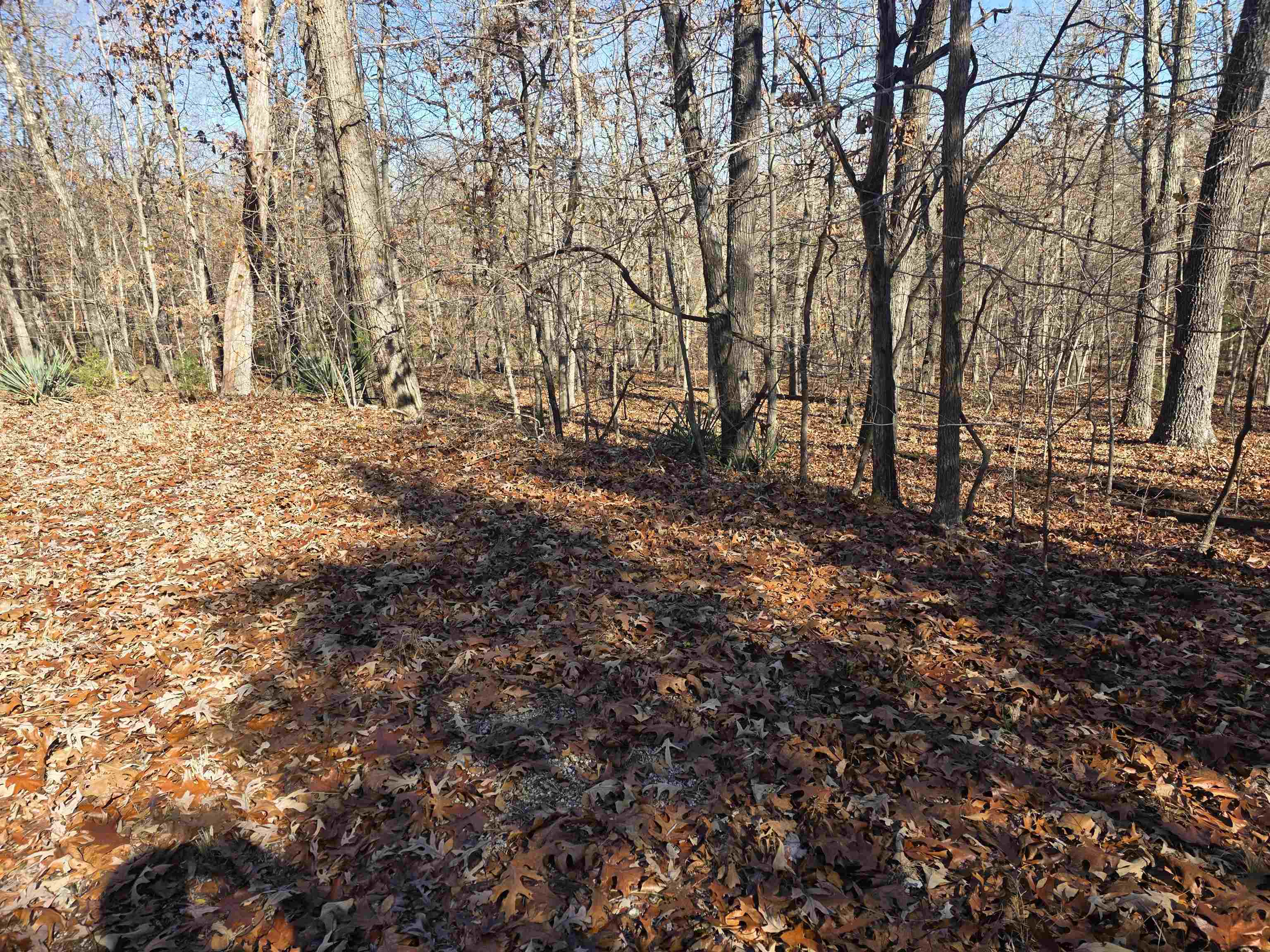 Photo 6 - Vacant Land for sale – L11,B5  Wasatch   Cherokee Village, AR