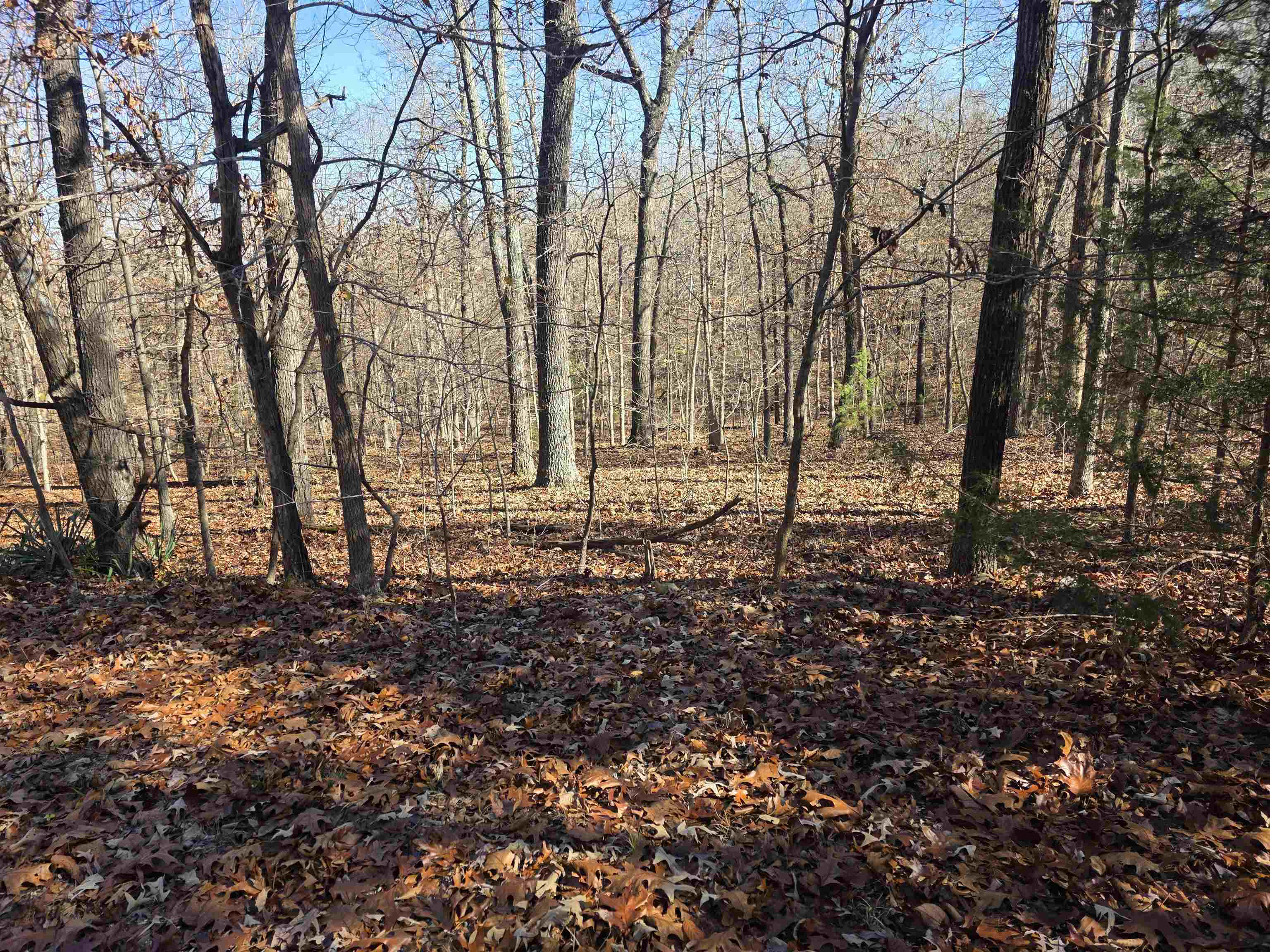 Photo 7 - Vacant Land for sale – L11,B5  Wasatch   Cherokee Village, AR