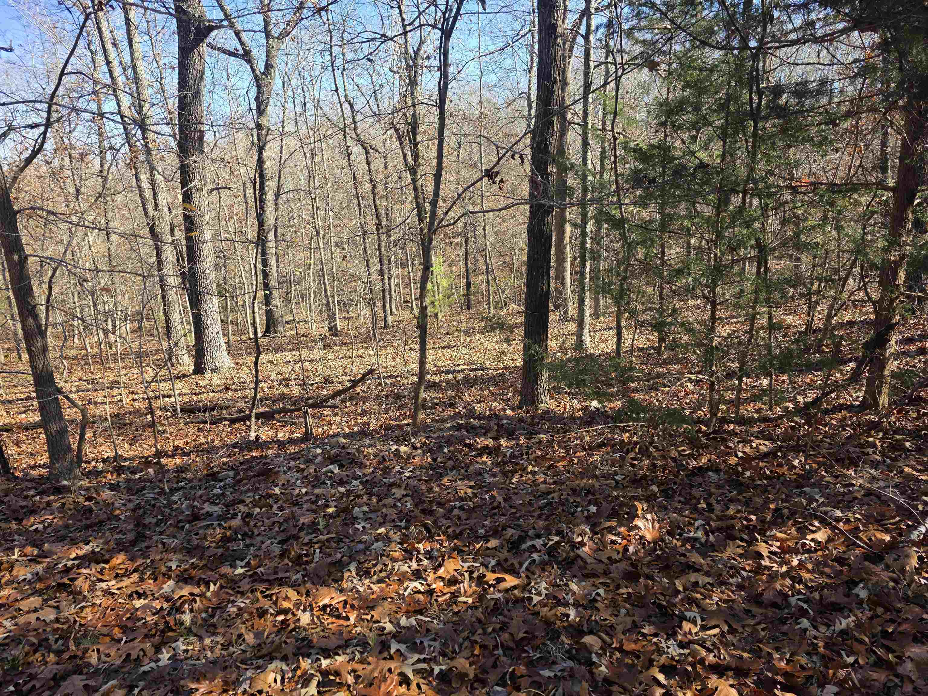 Photo 8 - Vacant Land for sale – L11,B5  Wasatch   Cherokee Village, AR