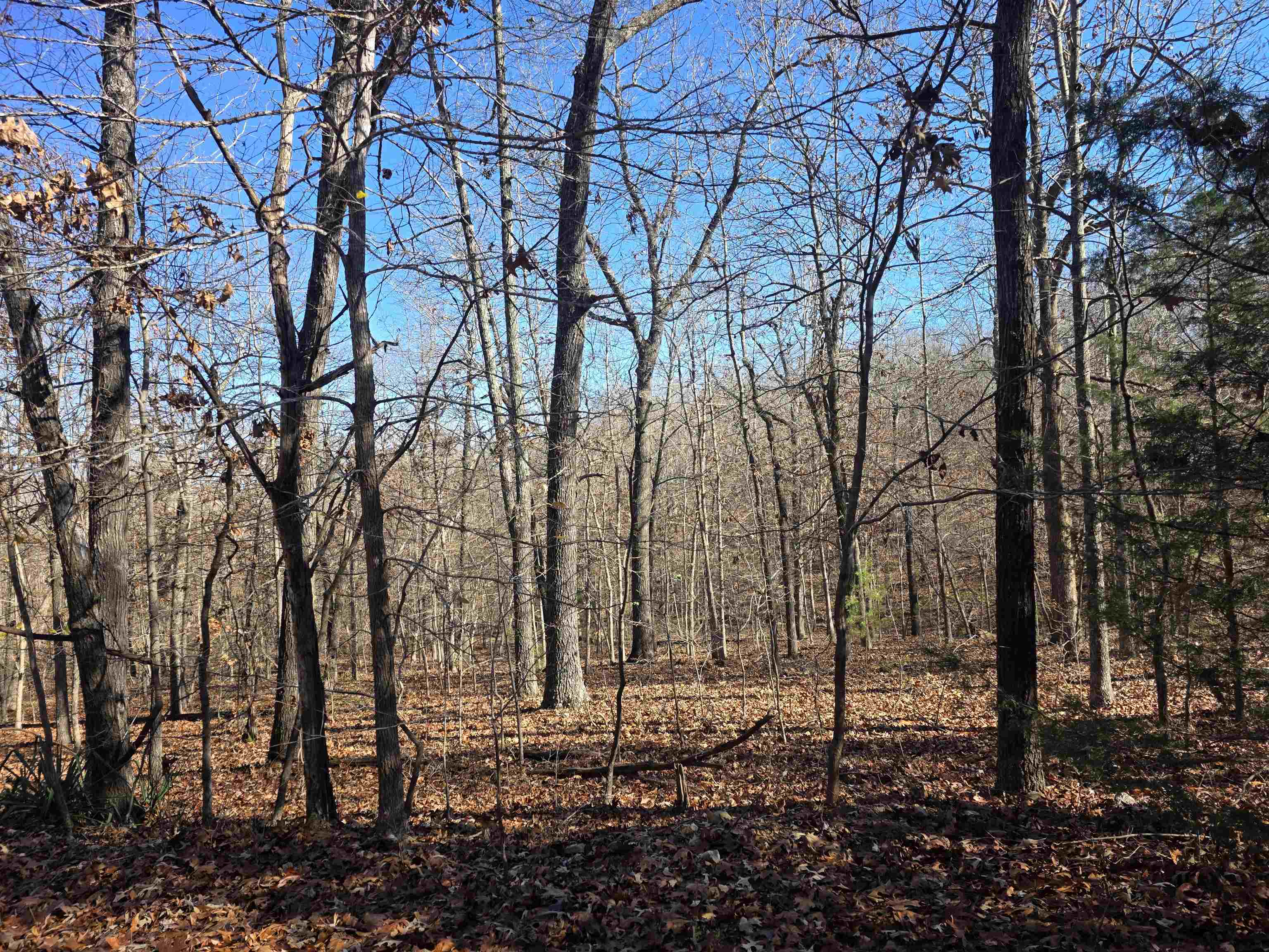 Photo 9 - Vacant Land for sale – L11,B5  Wasatch   Cherokee Village, AR