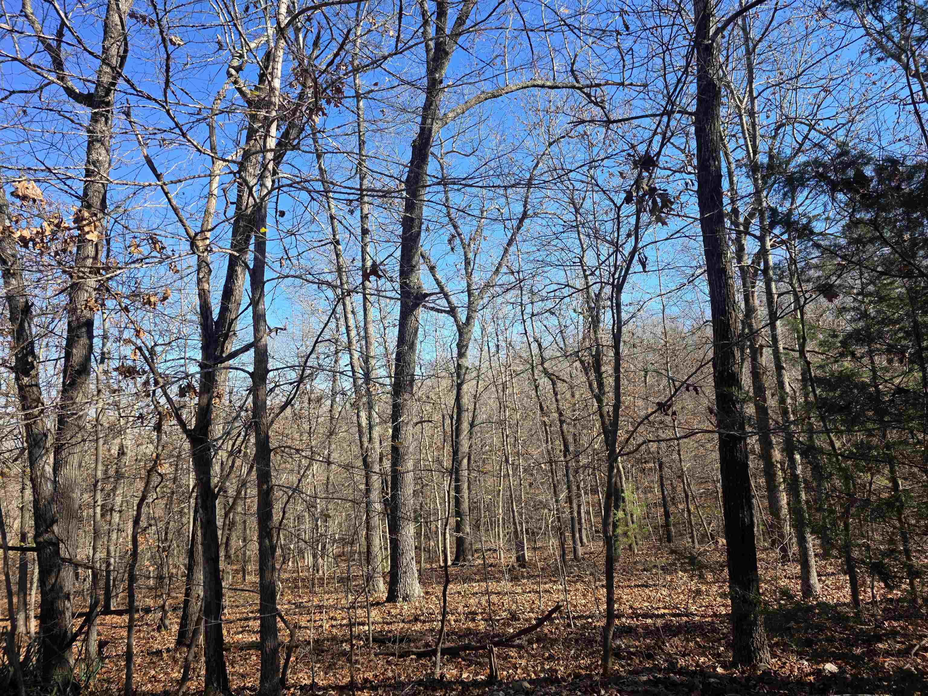 Photo 10 - Vacant Land for sale – L11,B5  Wasatch   Cherokee Village, AR