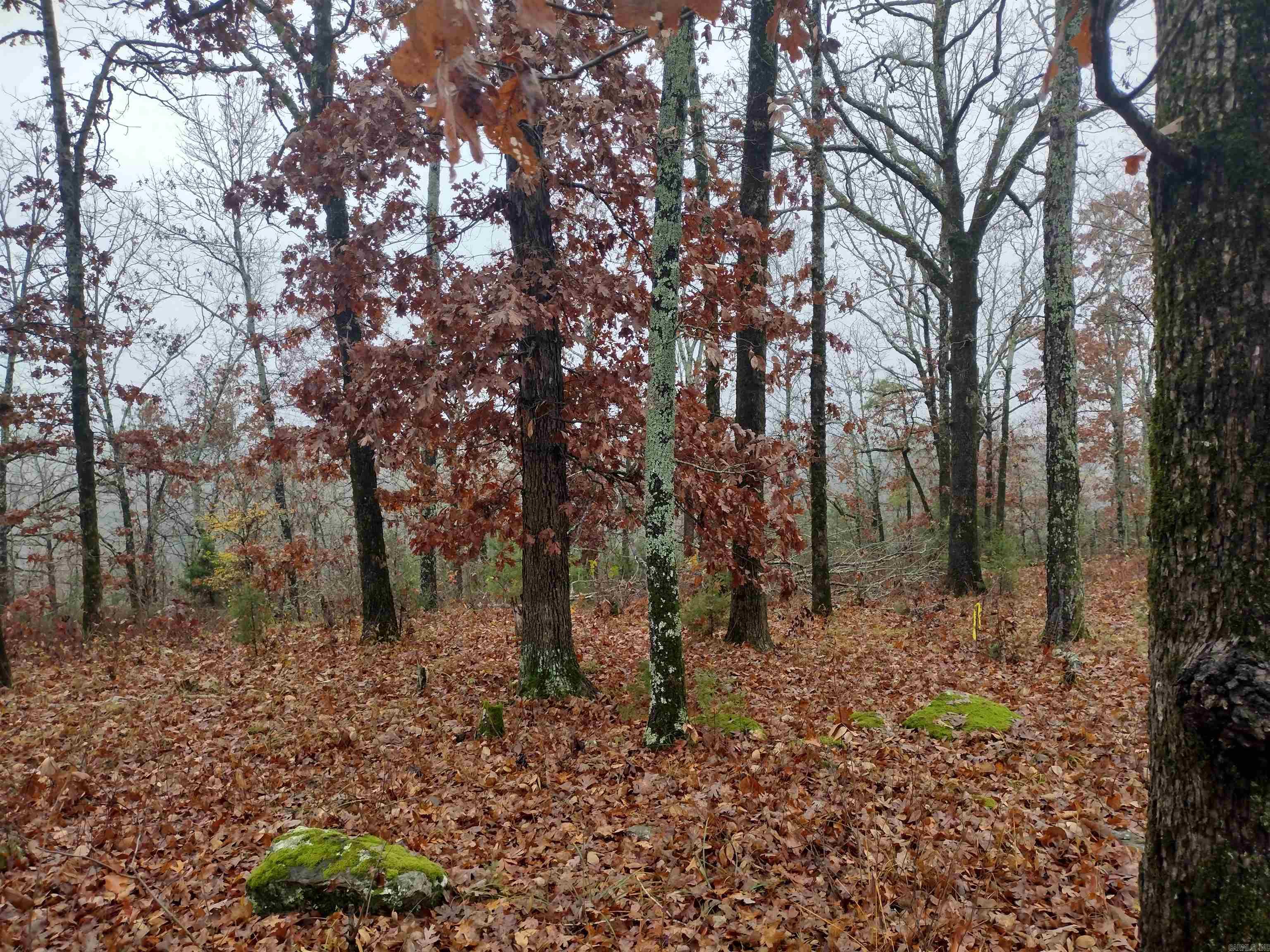 Photo 2 - Residential for sale – 285  Rippling Shoals LN   Melbourne, AR