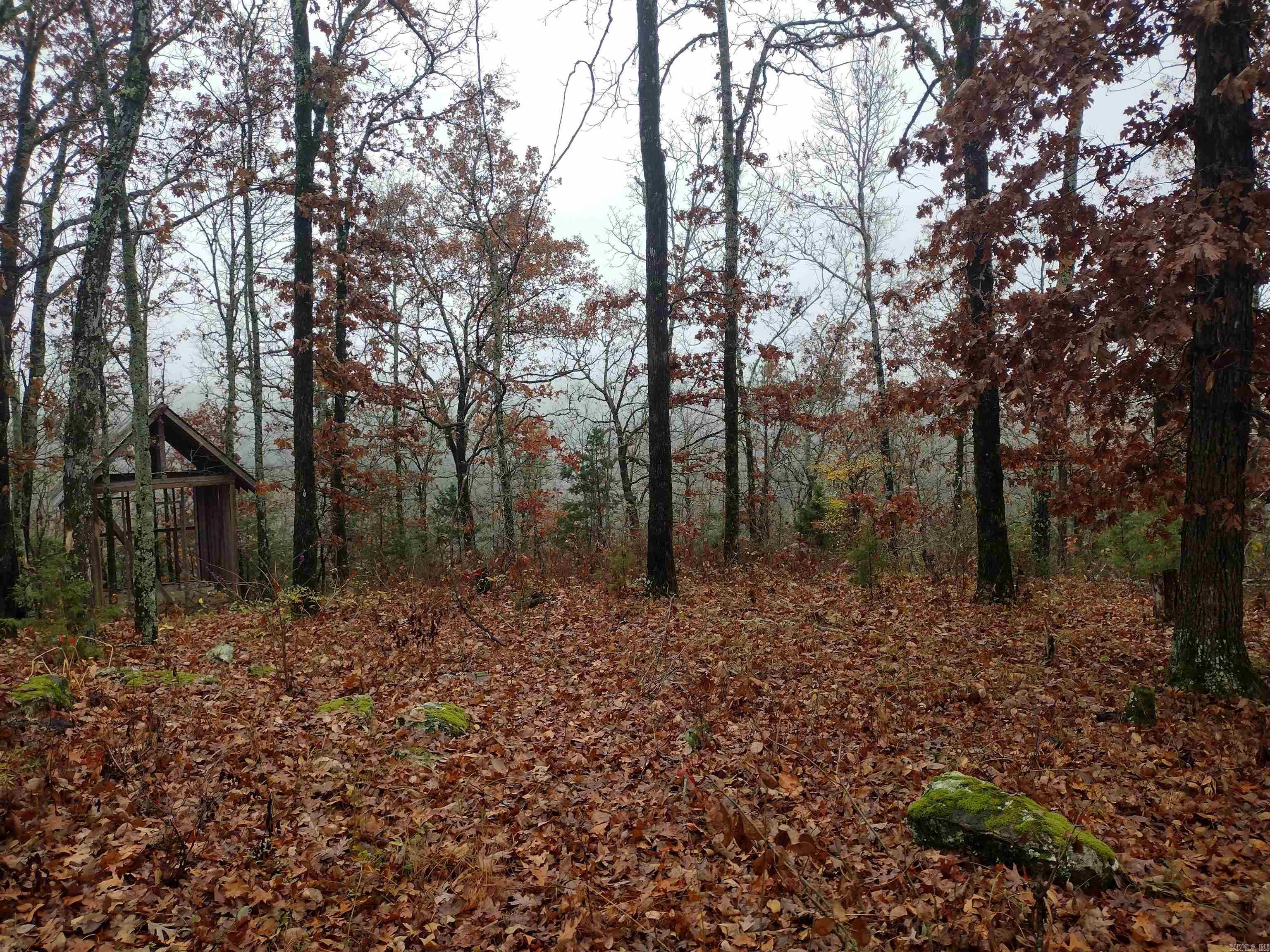 Photo 3 - Residential for sale – 285  Rippling Shoals LN   Melbourne, AR