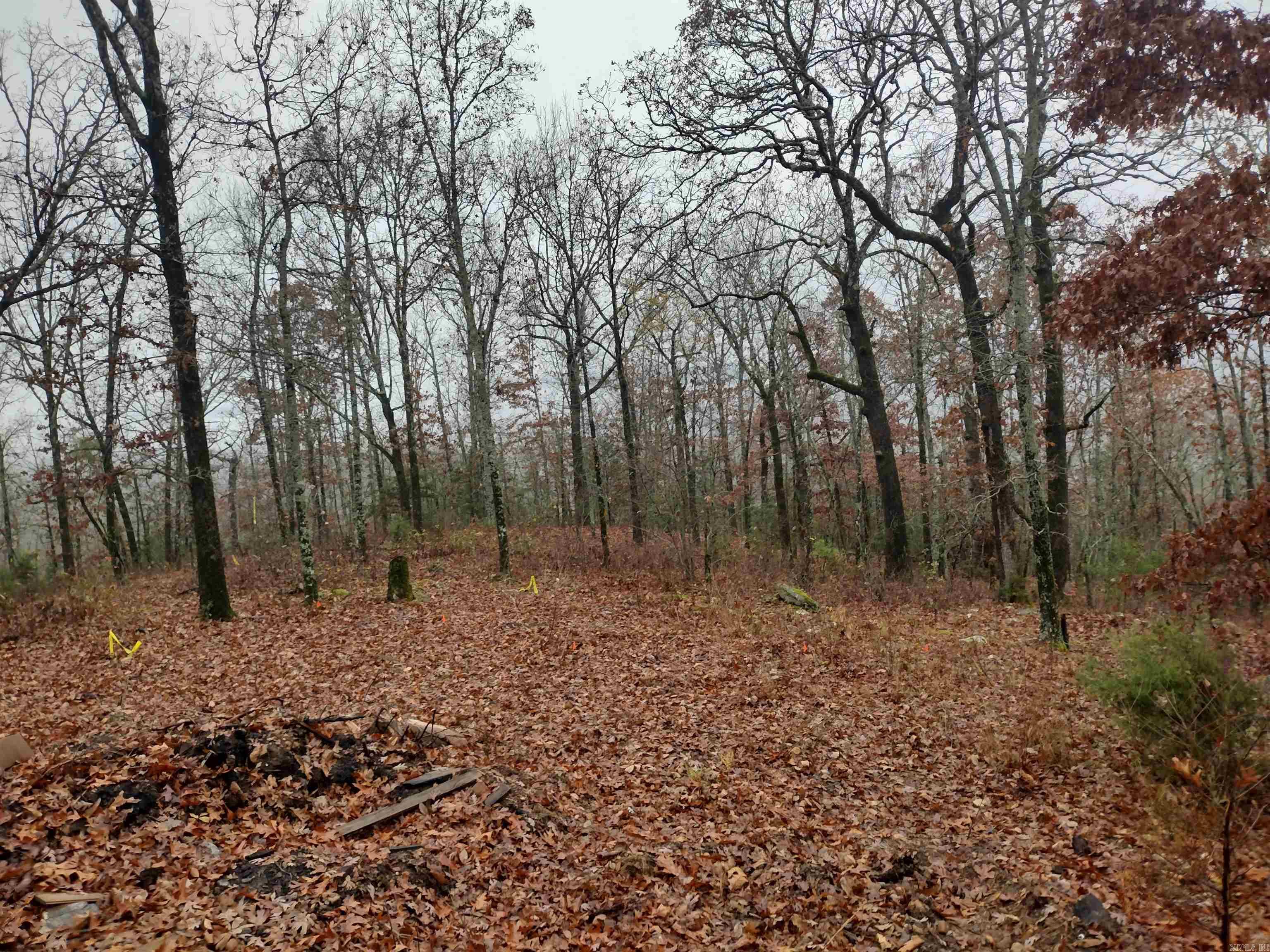 Photo 4 - Residential for sale – 285  Rippling Shoals LN   Melbourne, AR