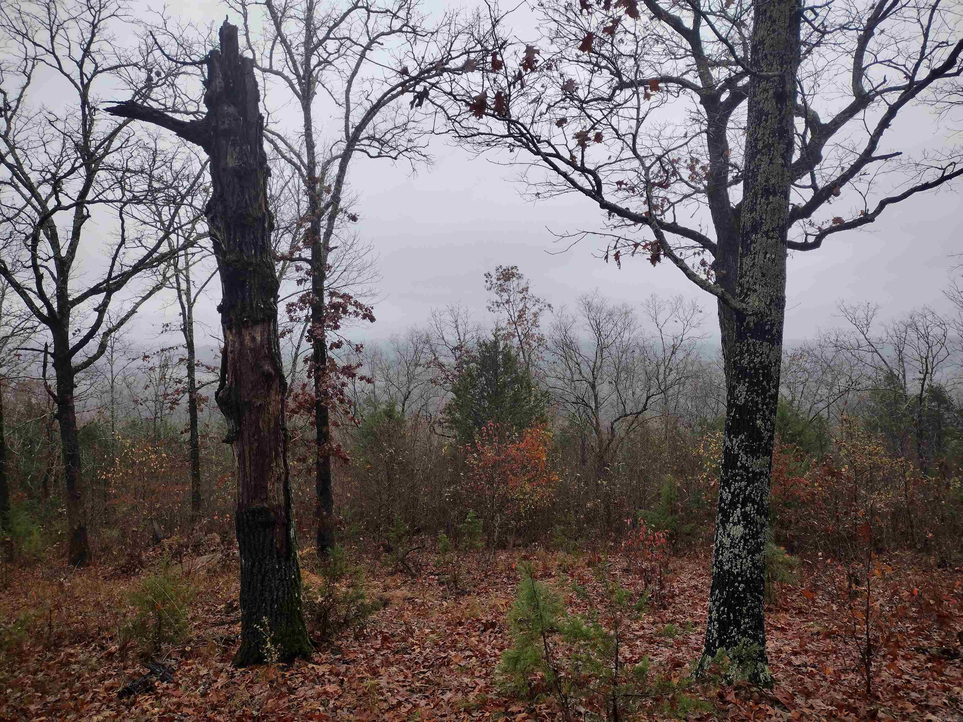 Photo 5 - Residential for sale – 285  Rippling Shoals LN   Melbourne, AR