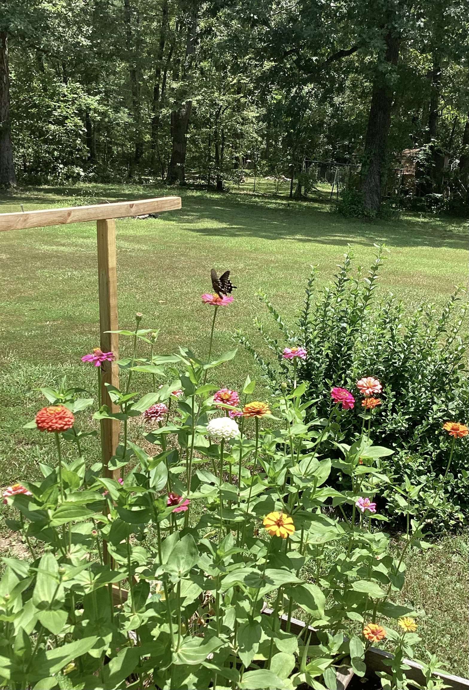 Photo 22 - Residential for sale – 60  Flathead   Cherokee Village, AR