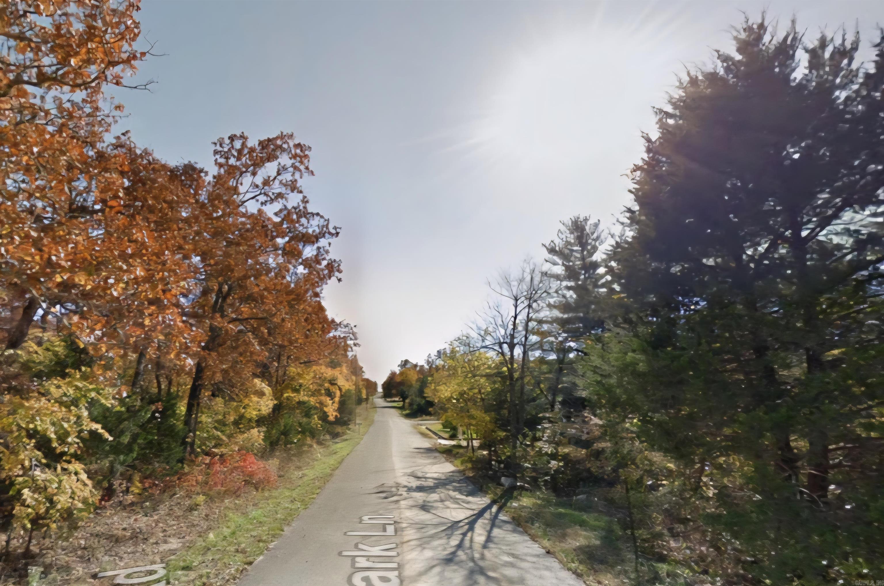 Photo 5 - Vacant Land for sale – 1617  Grapevine   Horseshoe Bend, AR