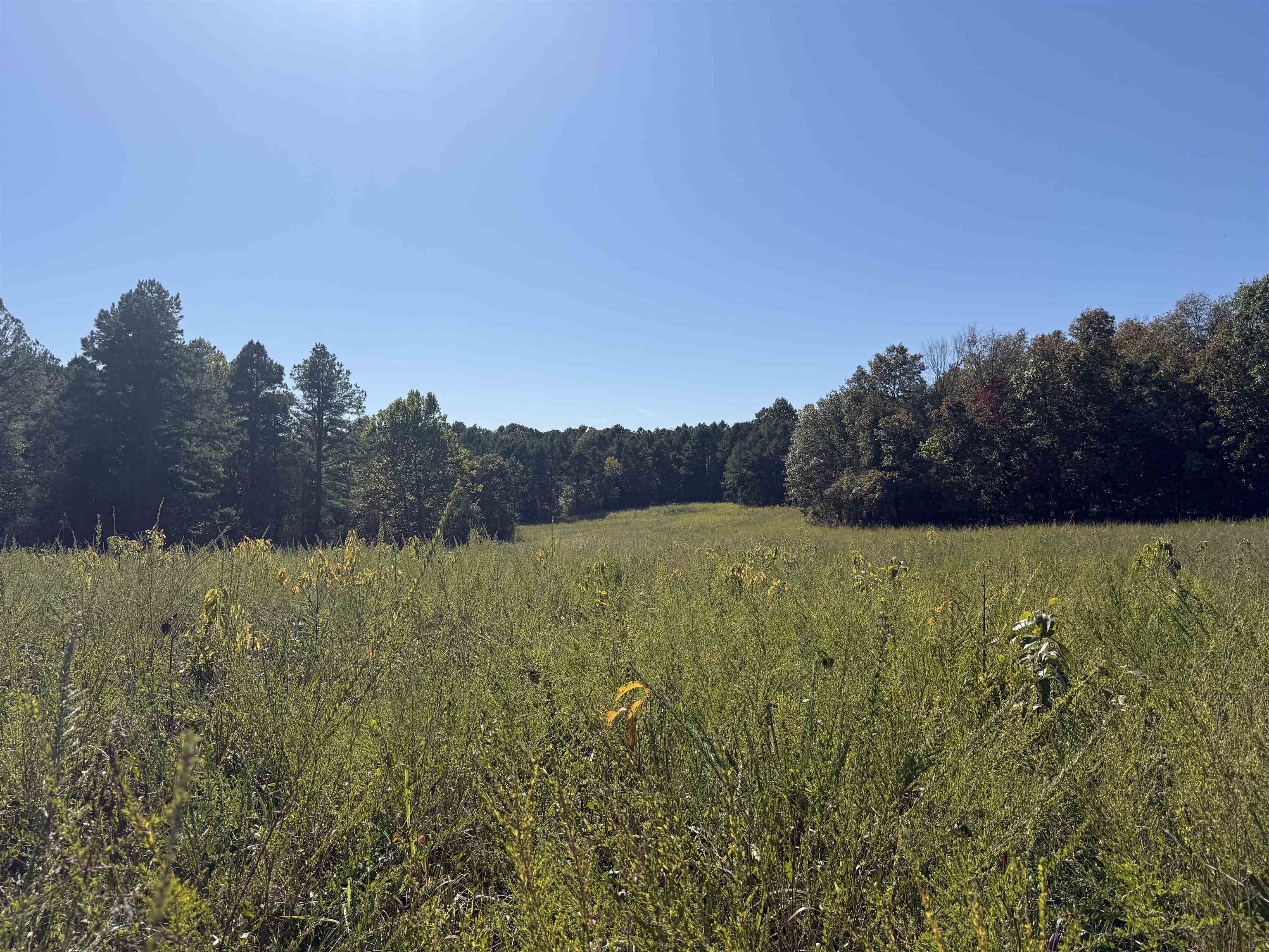 Photo 2 - Vacant Land for sale – 350  Gorby Road   Calico Rock, AR