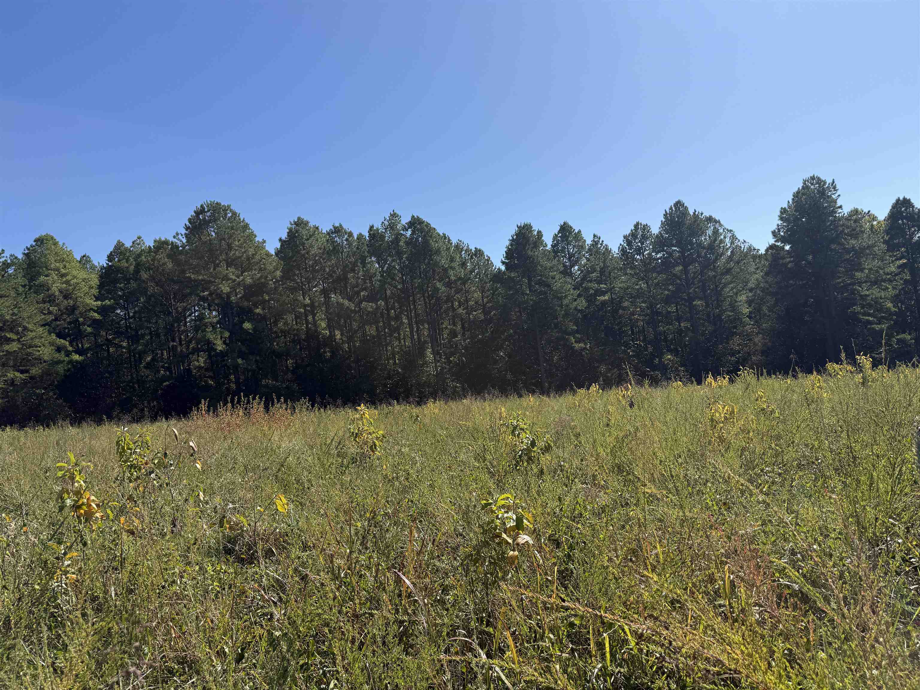 Photo 3 - Vacant Land for sale – 350  Gorby Road   Calico Rock, AR