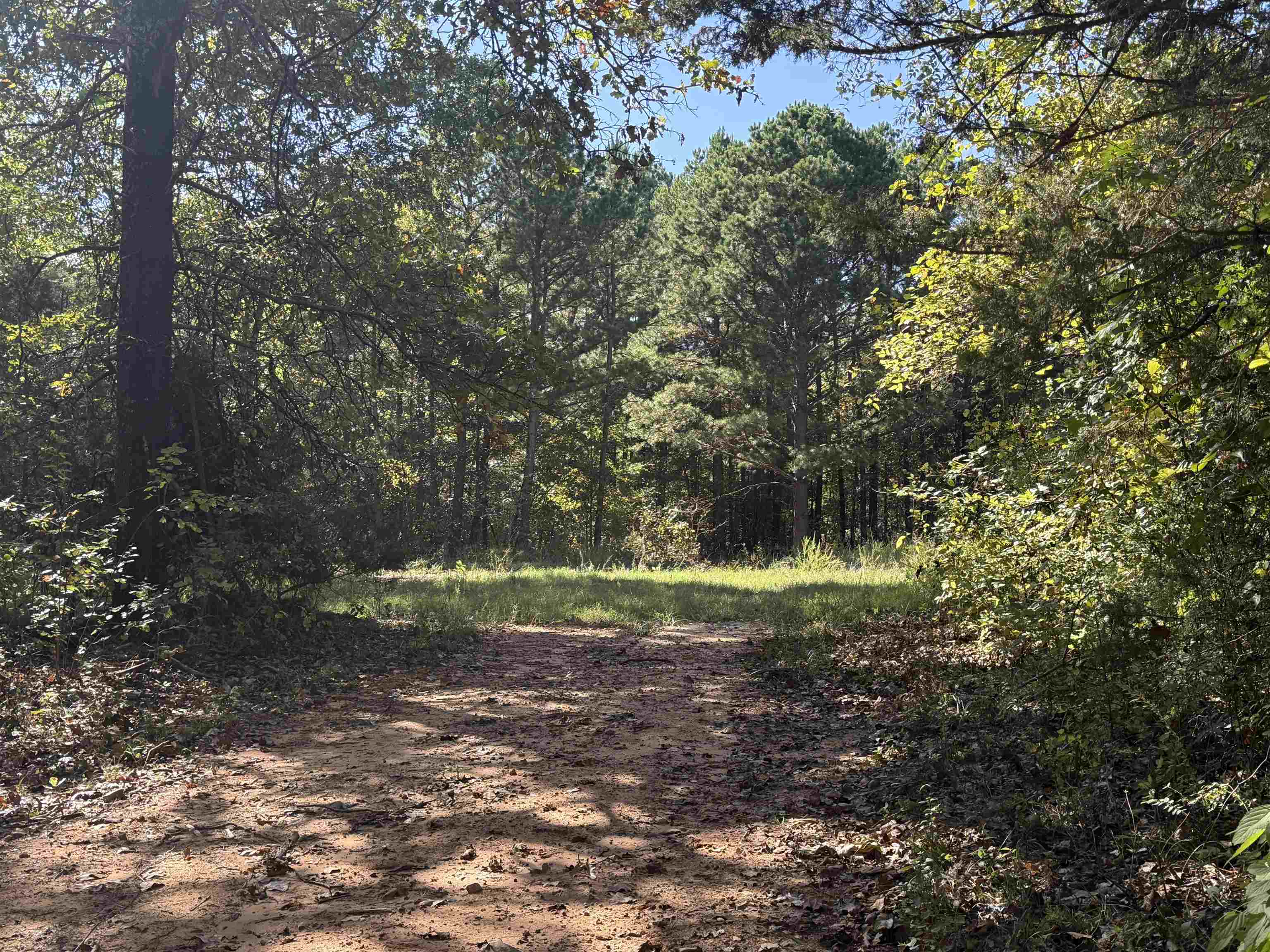 Photo 5 - Vacant Land for sale – 350  Gorby Road   Calico Rock, AR