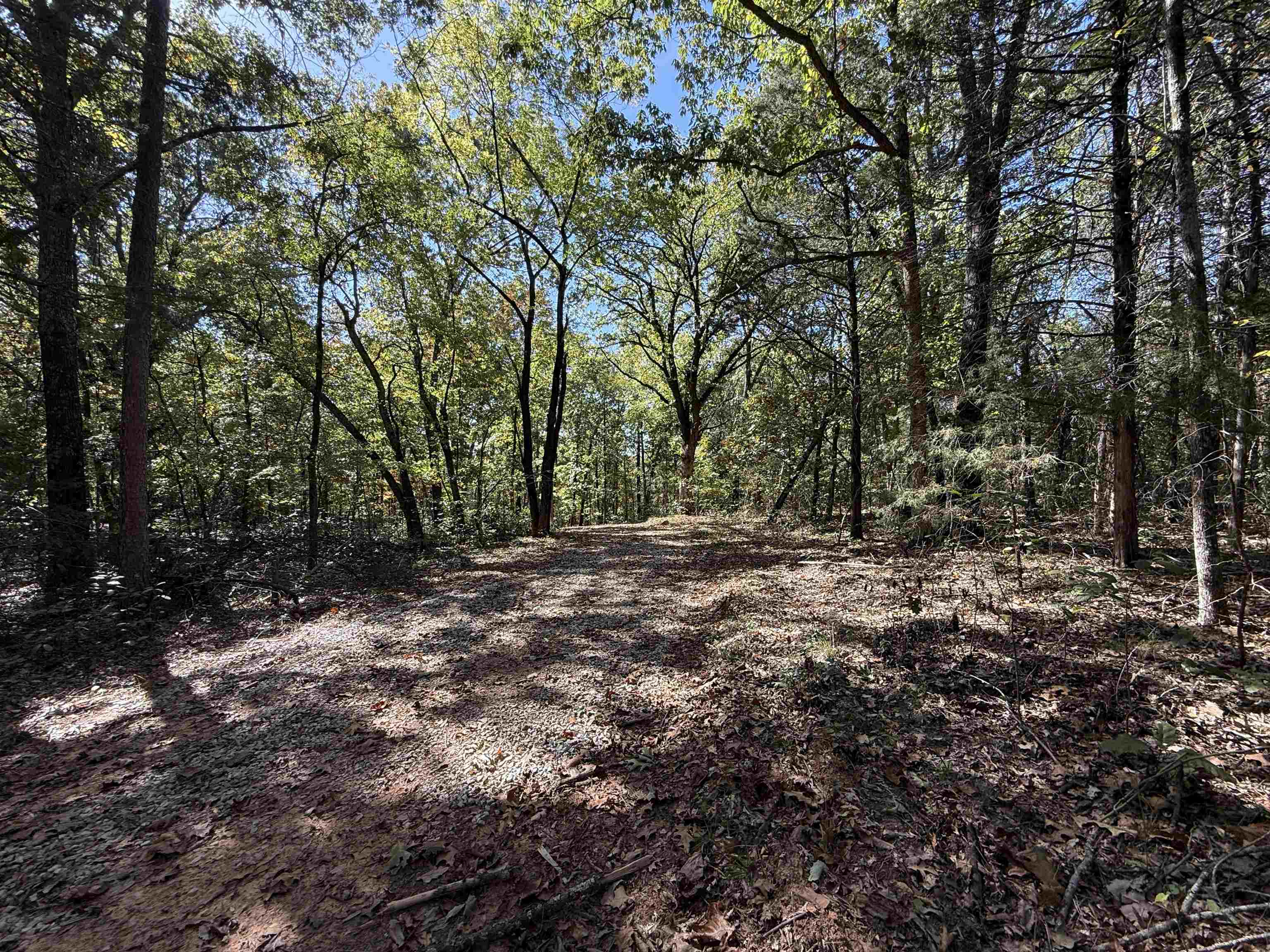 Photo 6 - Vacant Land for sale – 350  Gorby Road   Calico Rock, AR