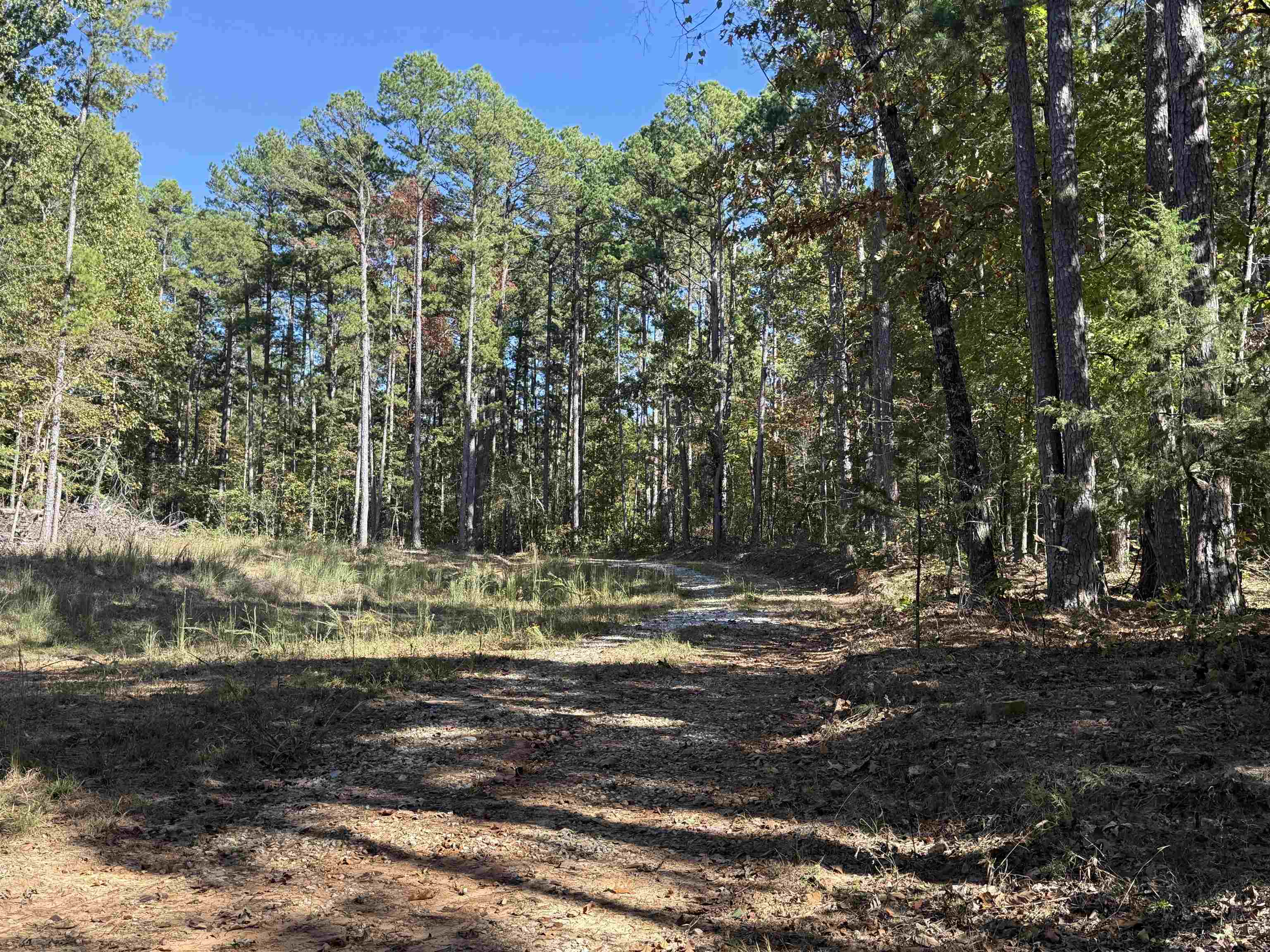 Photo 9 - Vacant Land for sale – 350  Gorby Road   Calico Rock, AR