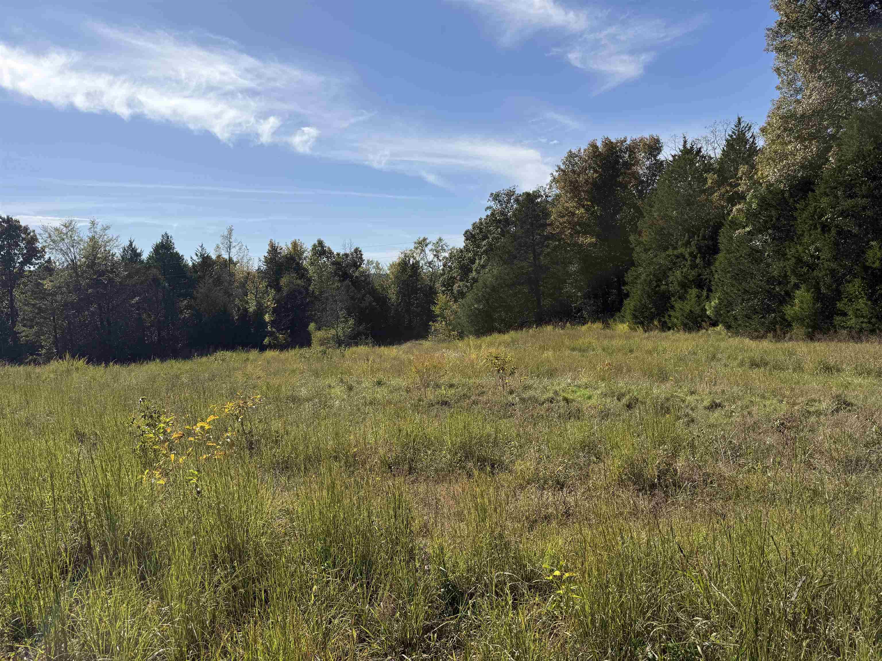 Photo 10 - Vacant Land for sale – 350  Gorby Road   Calico Rock, AR