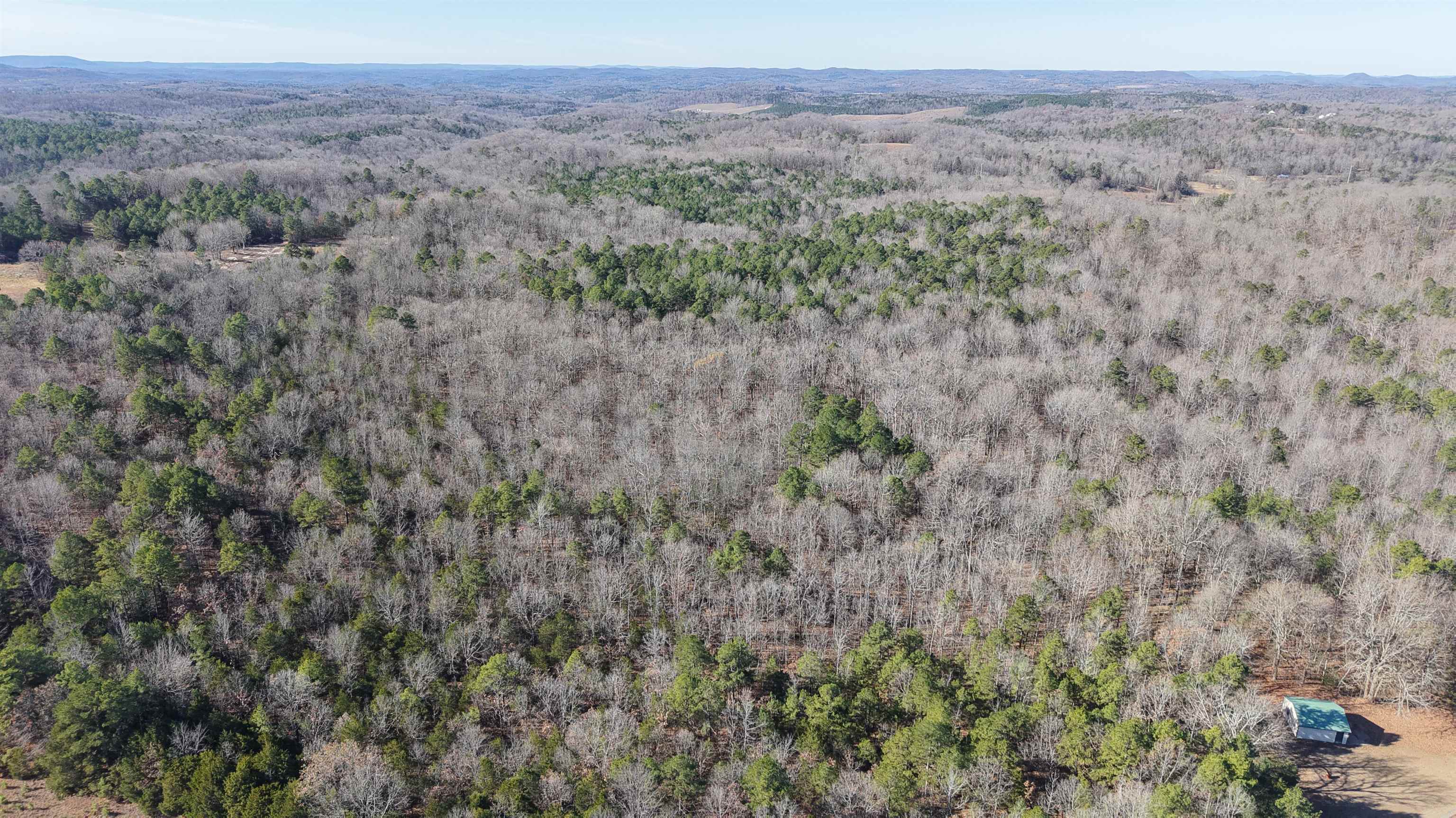 Photo 3 - Vacant Land for sale – 1442  State Hwy 69   Sage, AR