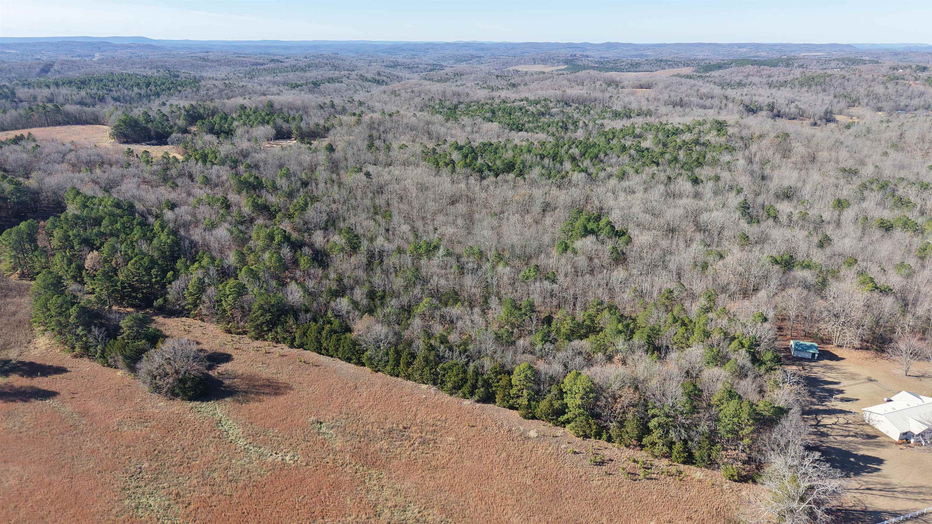 Photo 3 - Vacant Land for sale – 1442  State Hwy 69   Sage, AR
