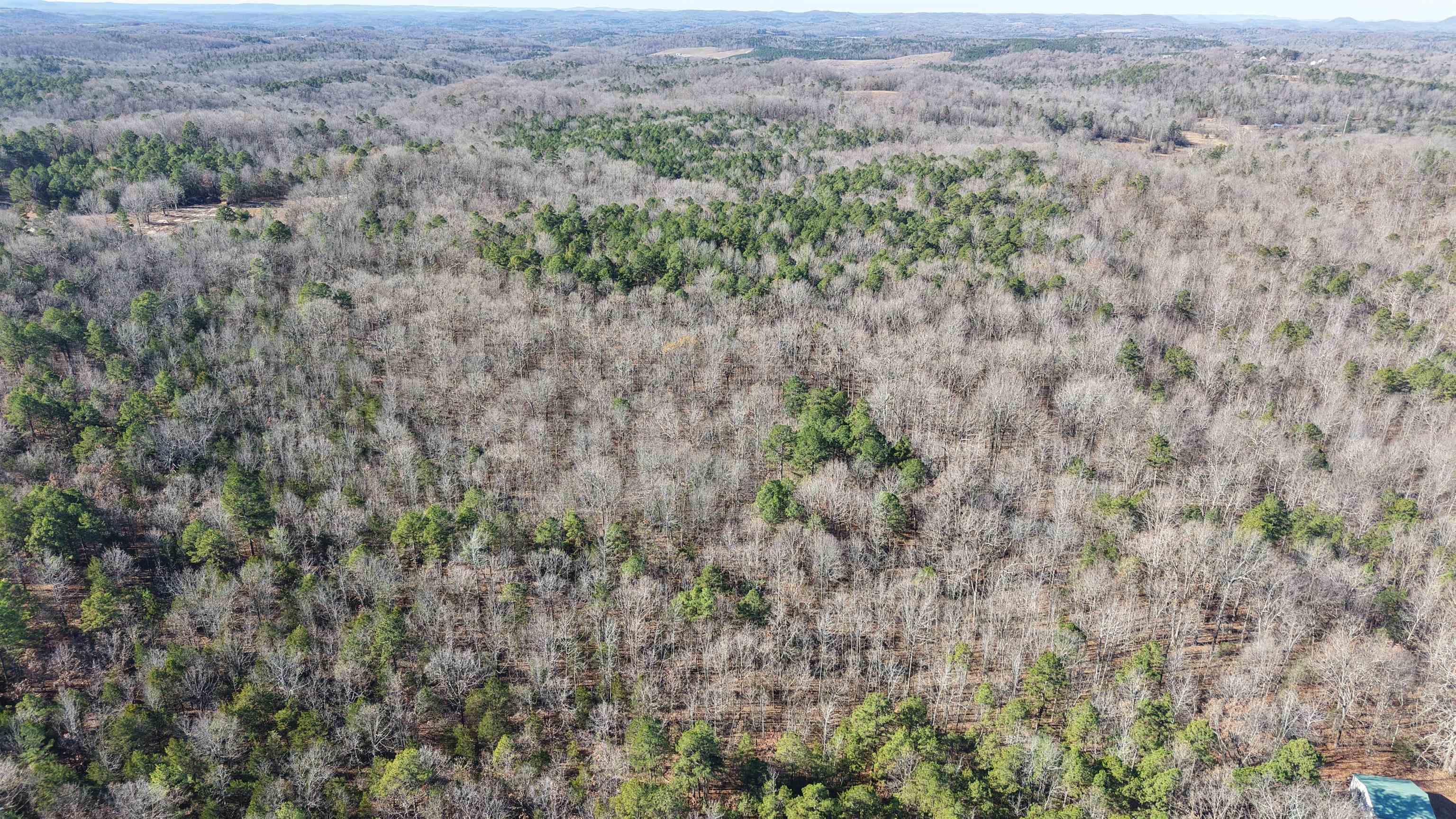 Photo 4 - Vacant Land for sale – 1442  State Hwy 69   Sage, AR