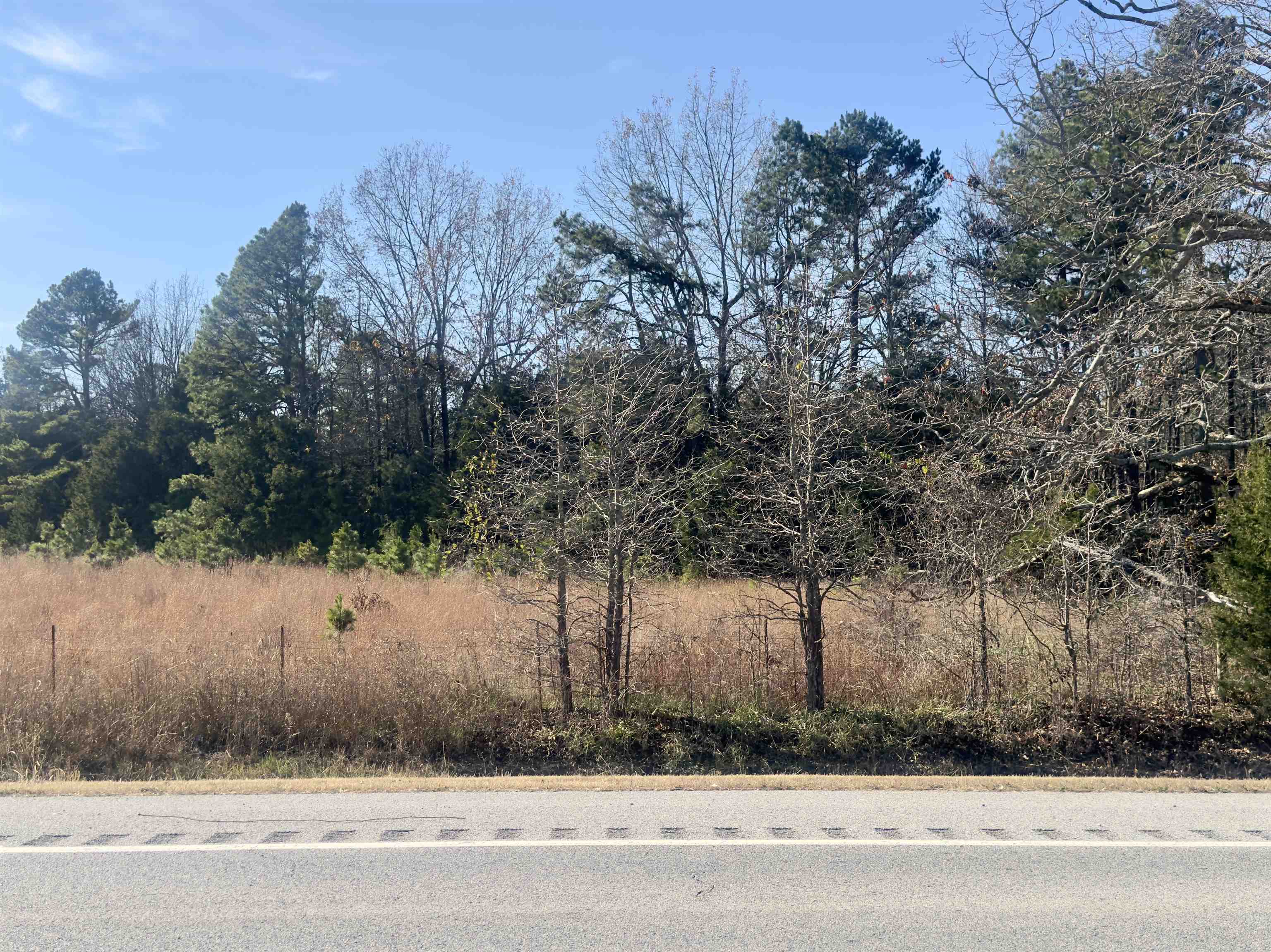 Photo 6 - Vacant Land for sale – 1442  State Hwy 69   Sage, AR