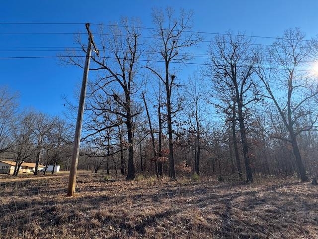 Photo 5 - Vacant Land for sale – Lot #35 and 50  Onaga   Cherokee Village, AR