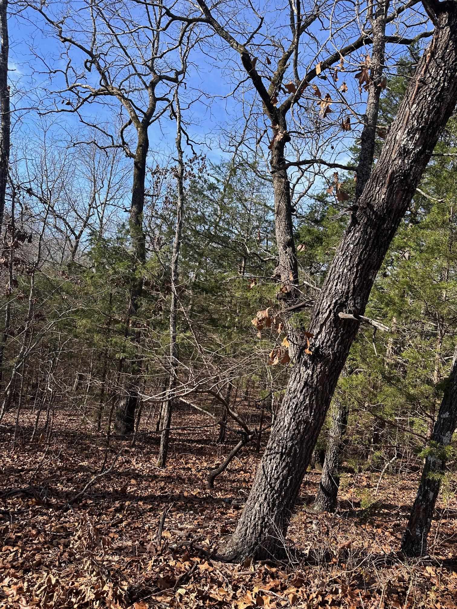 Vacant Land for sale – 0  Chippewa   Cherokee Village, AR