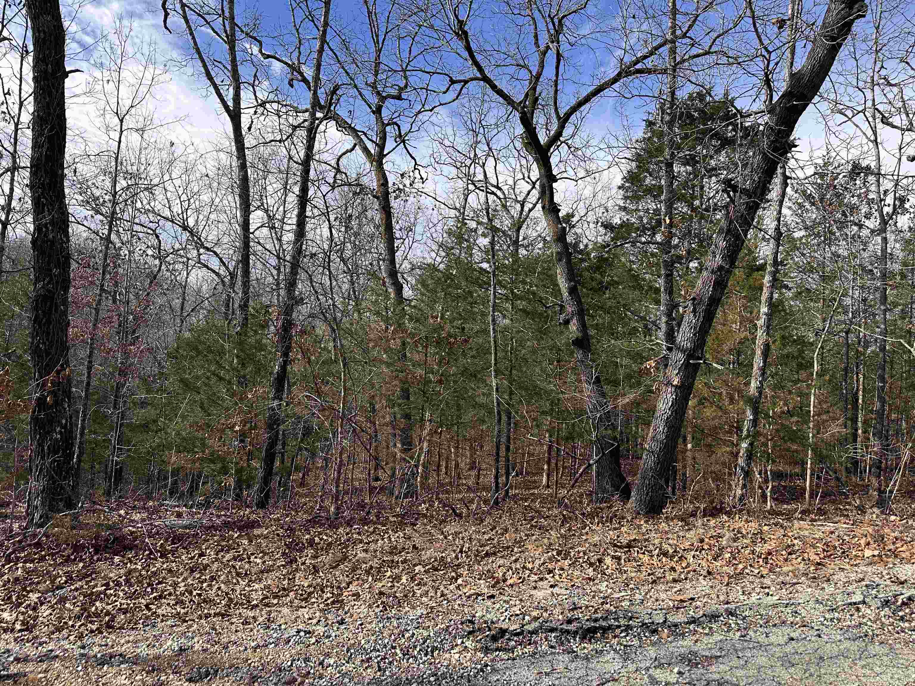 Vacant Land for sale – 0  Chippewa   Cherokee Village, AR