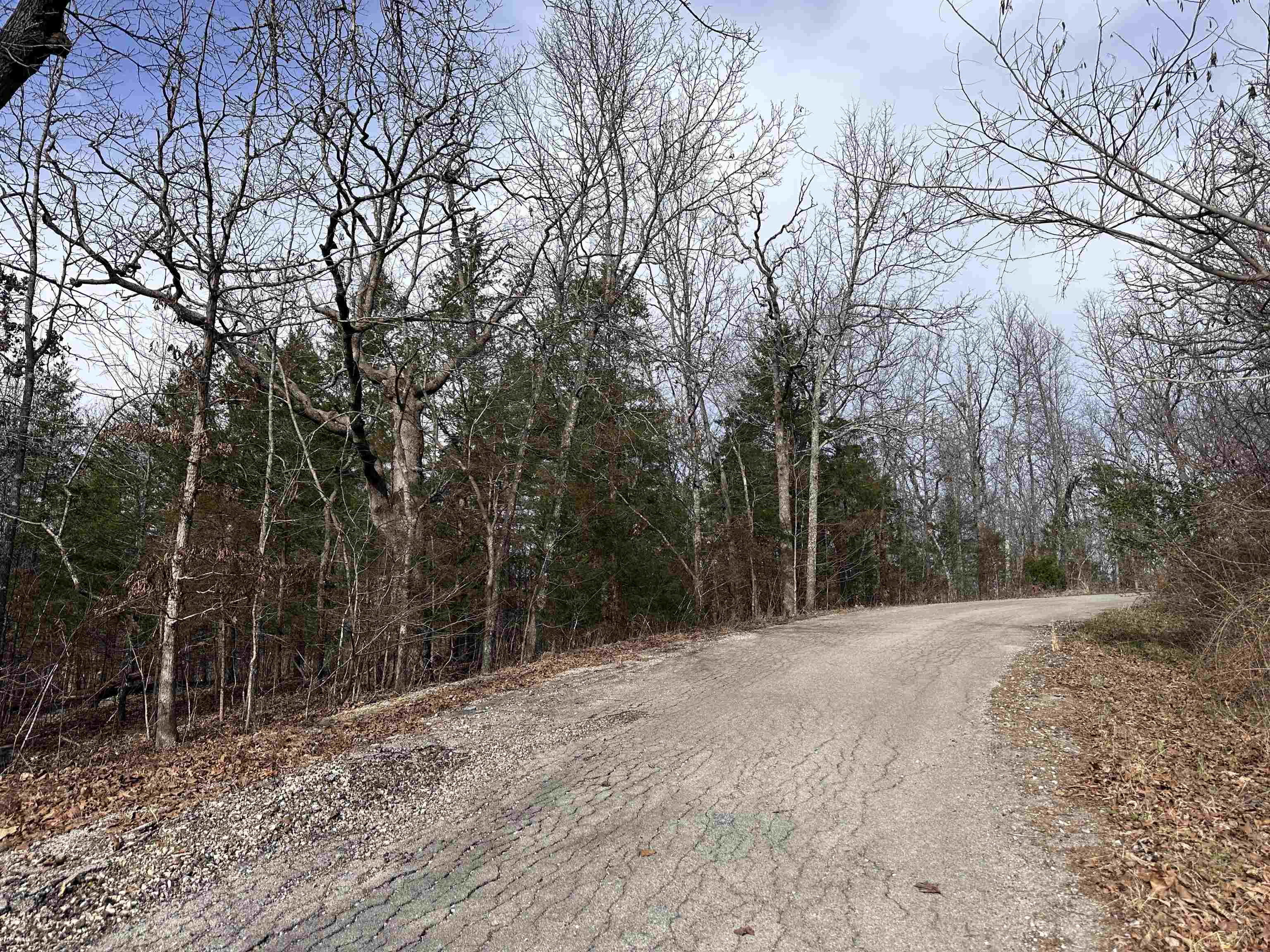 Photo 2 - Vacant Land for sale – 0  Chippewa   Cherokee Village, AR