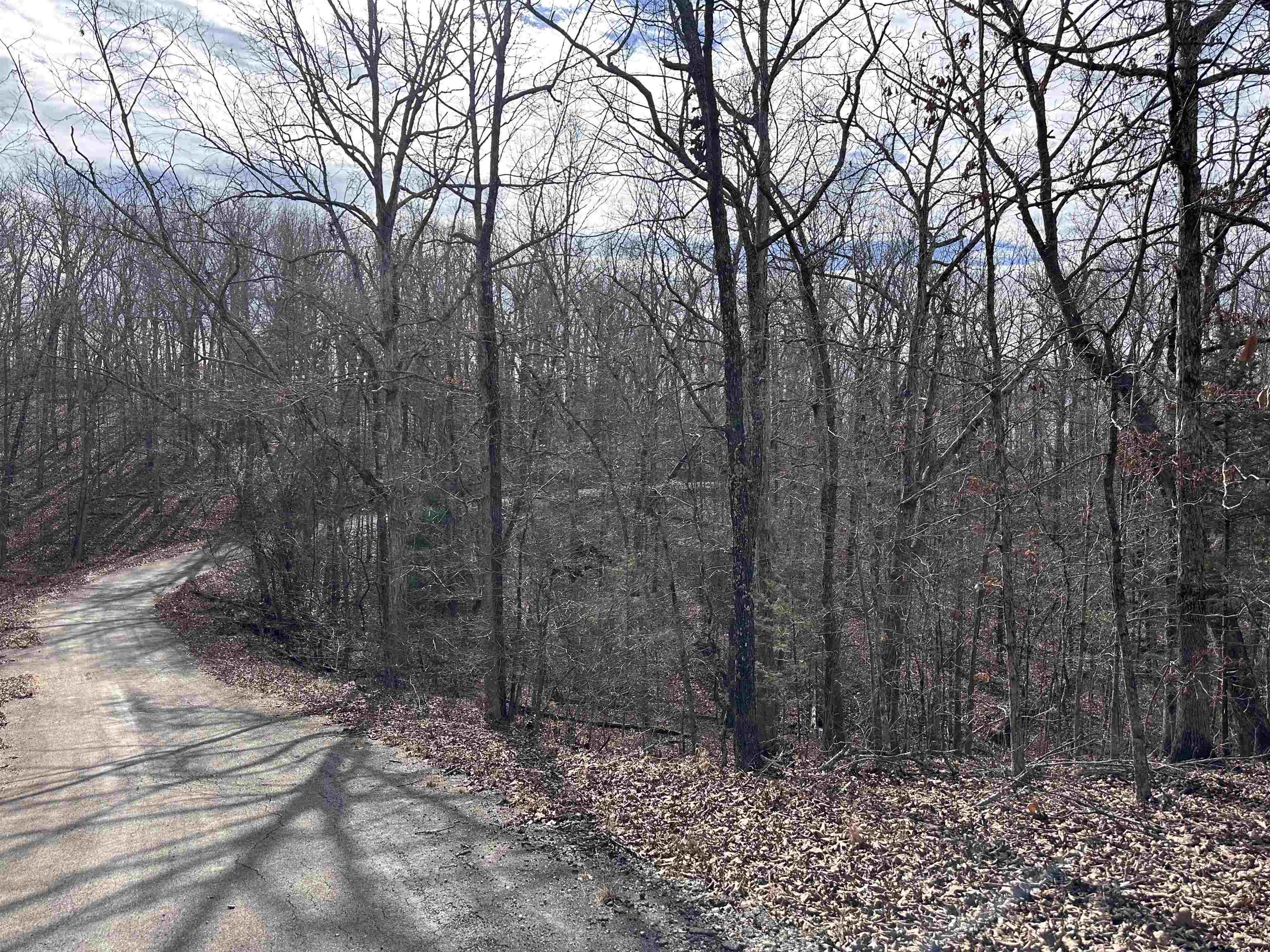 Photo 3 - Vacant Land for sale – 0  Chippewa   Cherokee Village, AR