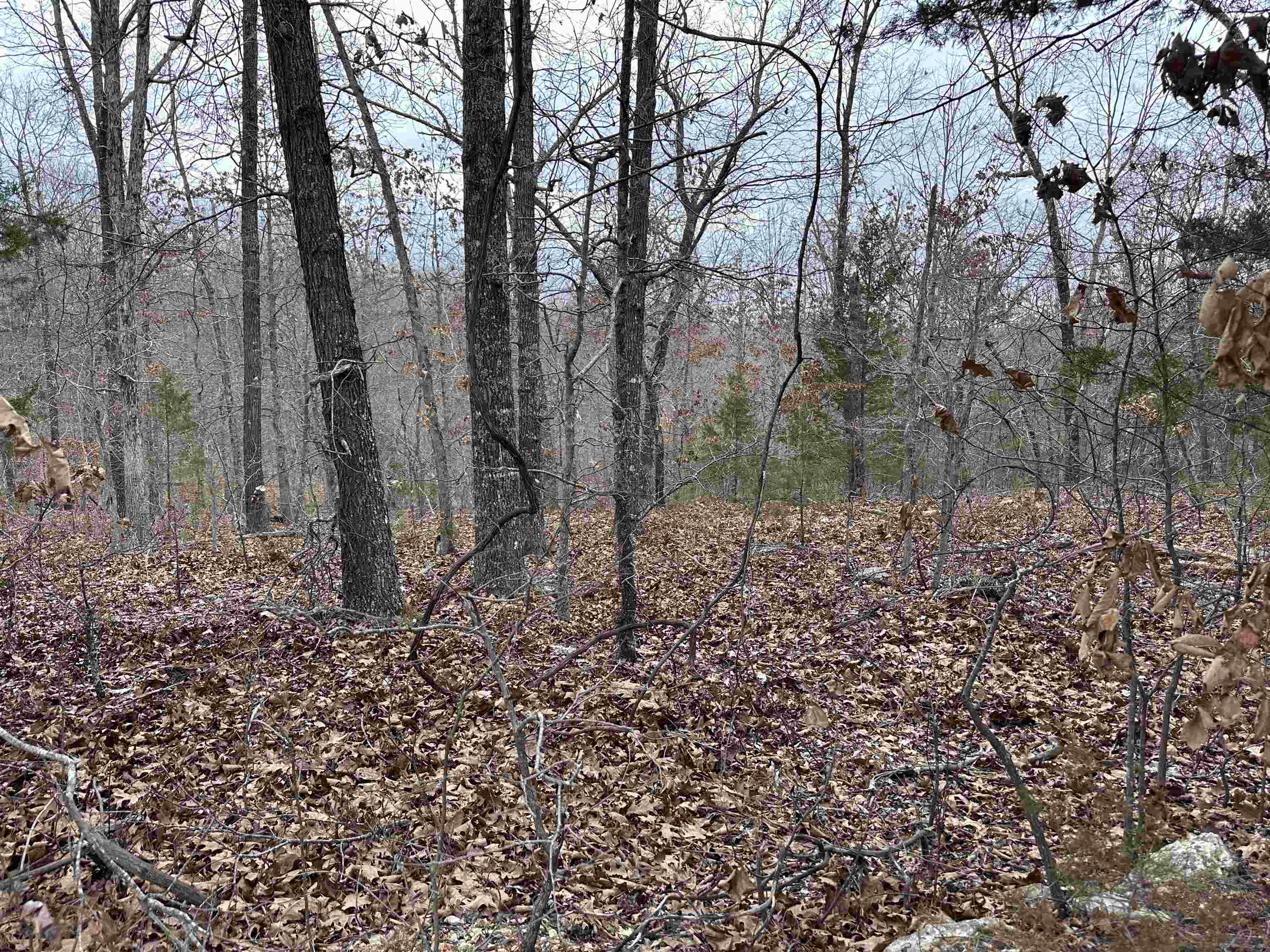 Vacant Land for sale – 0  Loxahatchee   Cherokee Village, AR