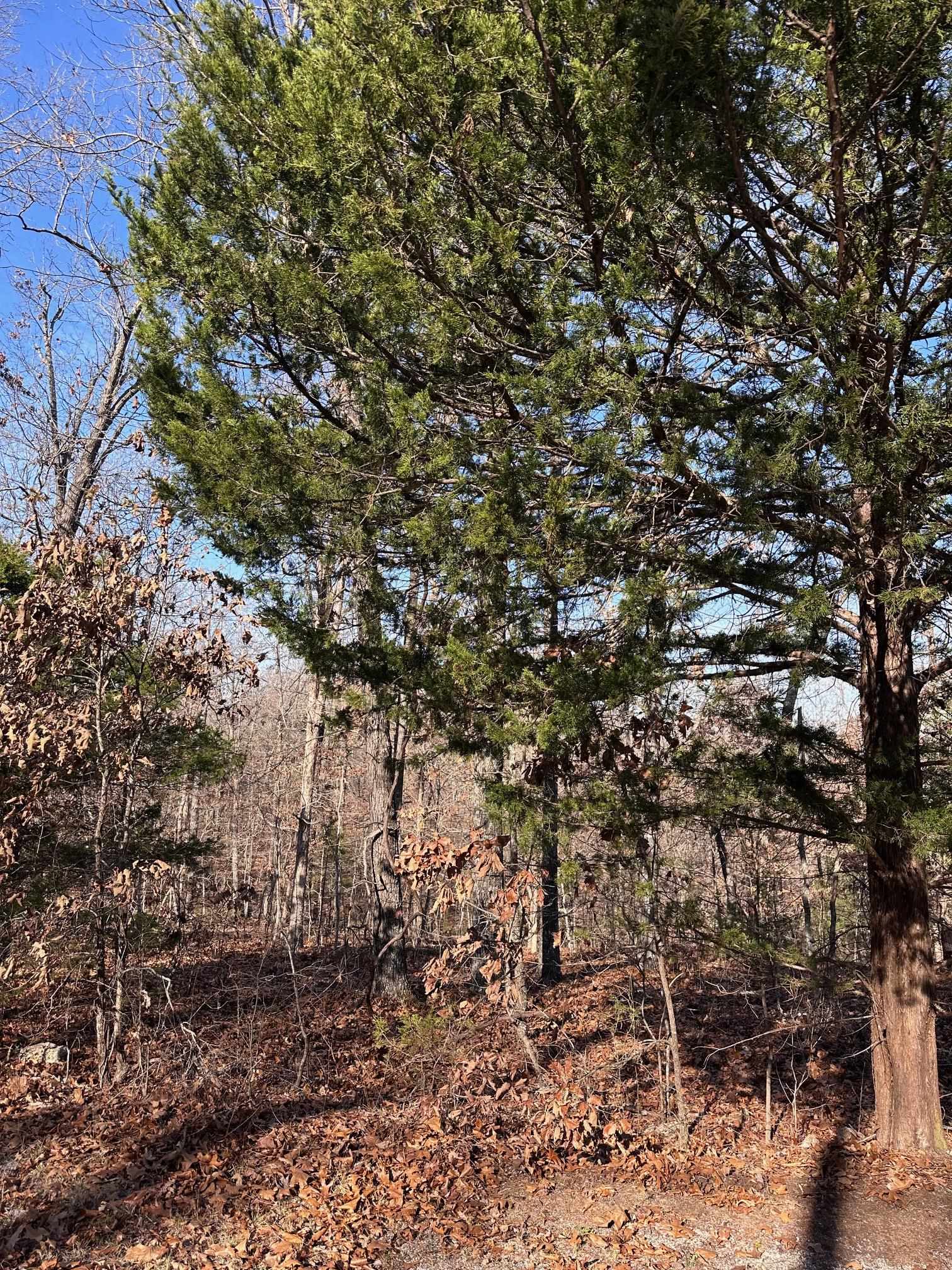 Vacant Land for sale – 0  Loxahatchee   Cherokee Village, AR